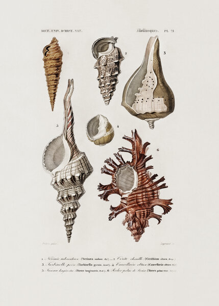 Coastal Heritage