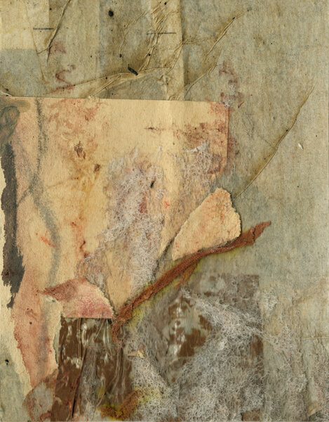 Soothing Earthy Tones​