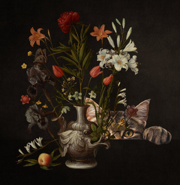 Curious Cat Flowers