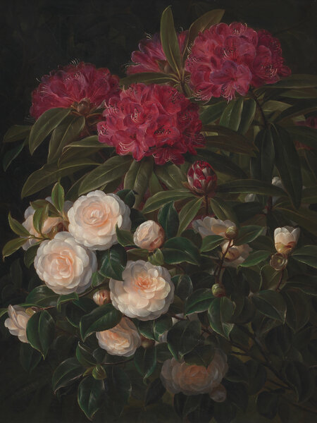 Vintage Botanical