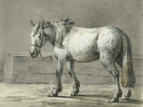 Standing Horse (1810   1816) By Jean Bernard