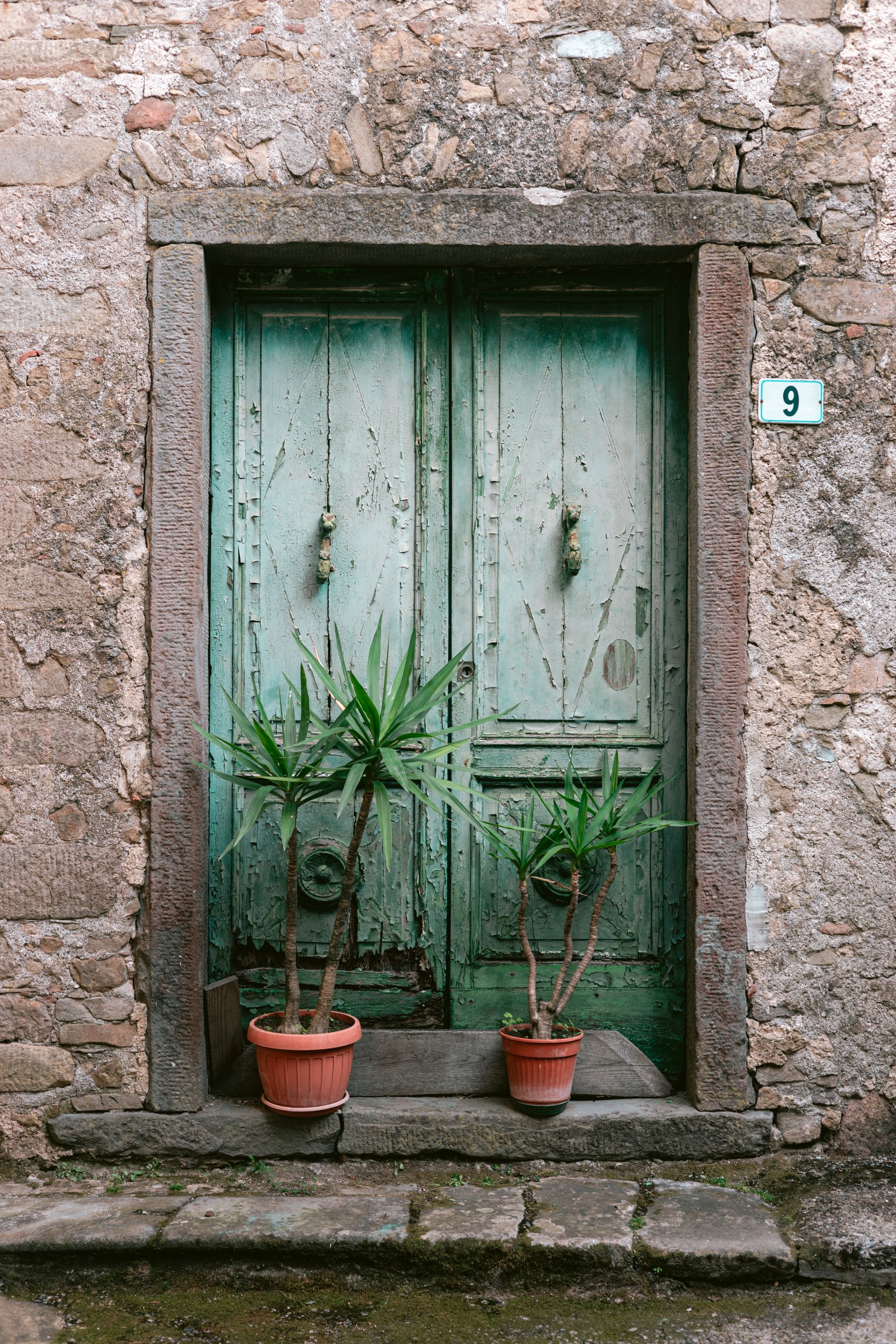 Old Green Door Plants by HelloHappylife — canvas wall art