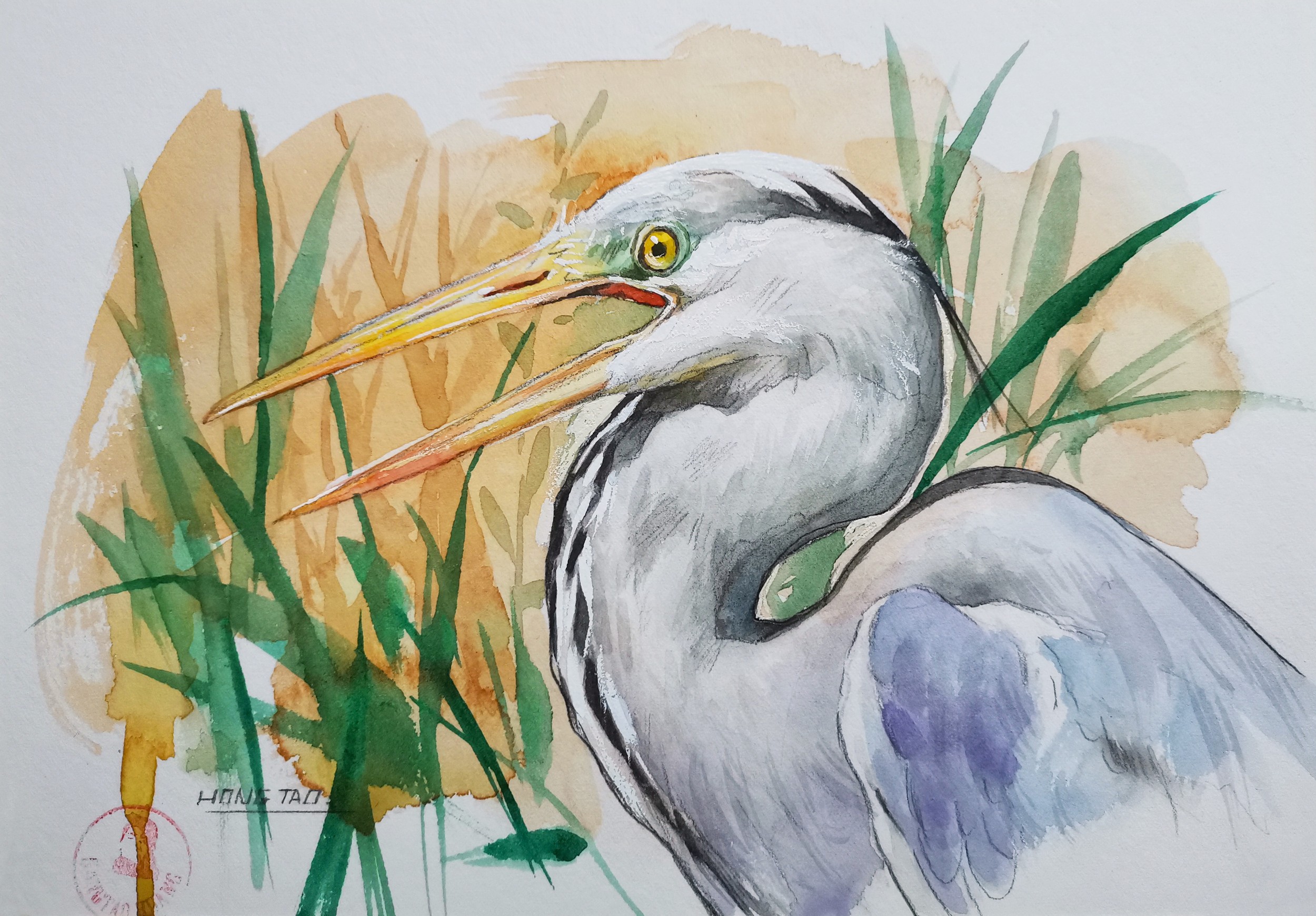 Grey Heron in Reeds by Hongtao Huang — canvas wall art