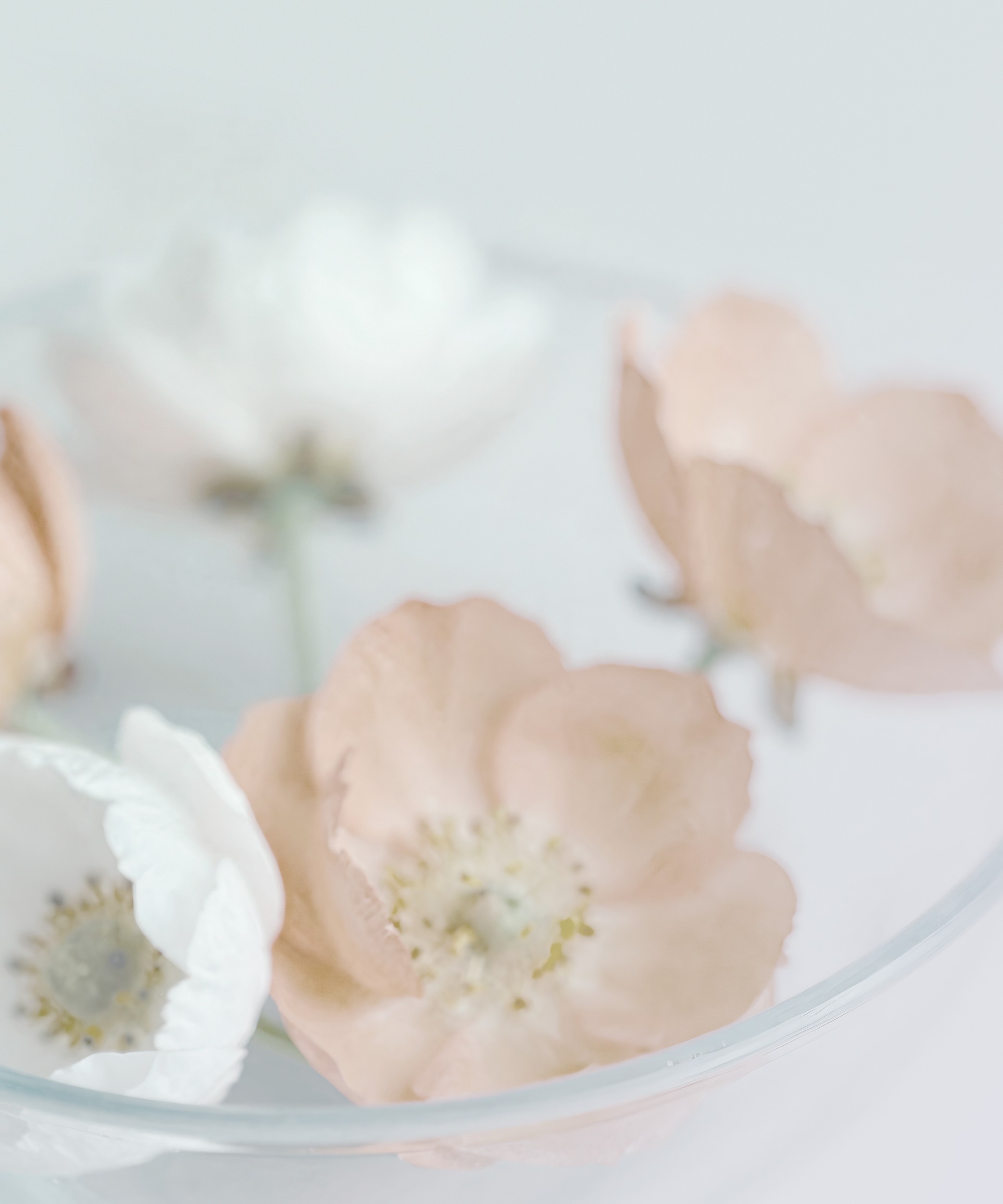 Soft Pastel Blooms by Sander van Laar — canvas wall art