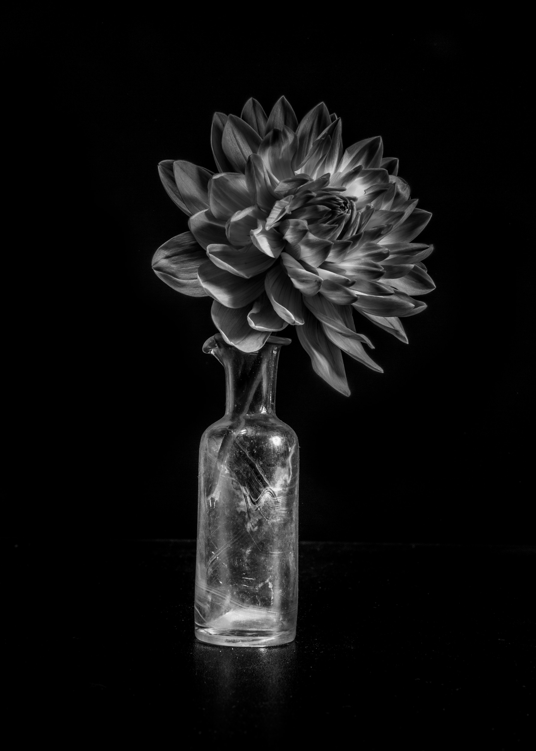 Dahlia In Glass Vase by Sander van Laar — canvas wall art