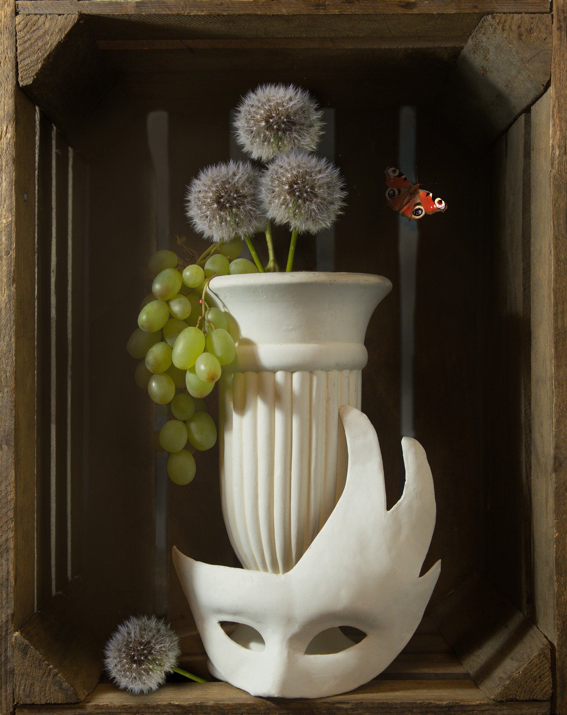 Dandelion Grapes Mask Butterfly by Sander van Laar — canvas wall art