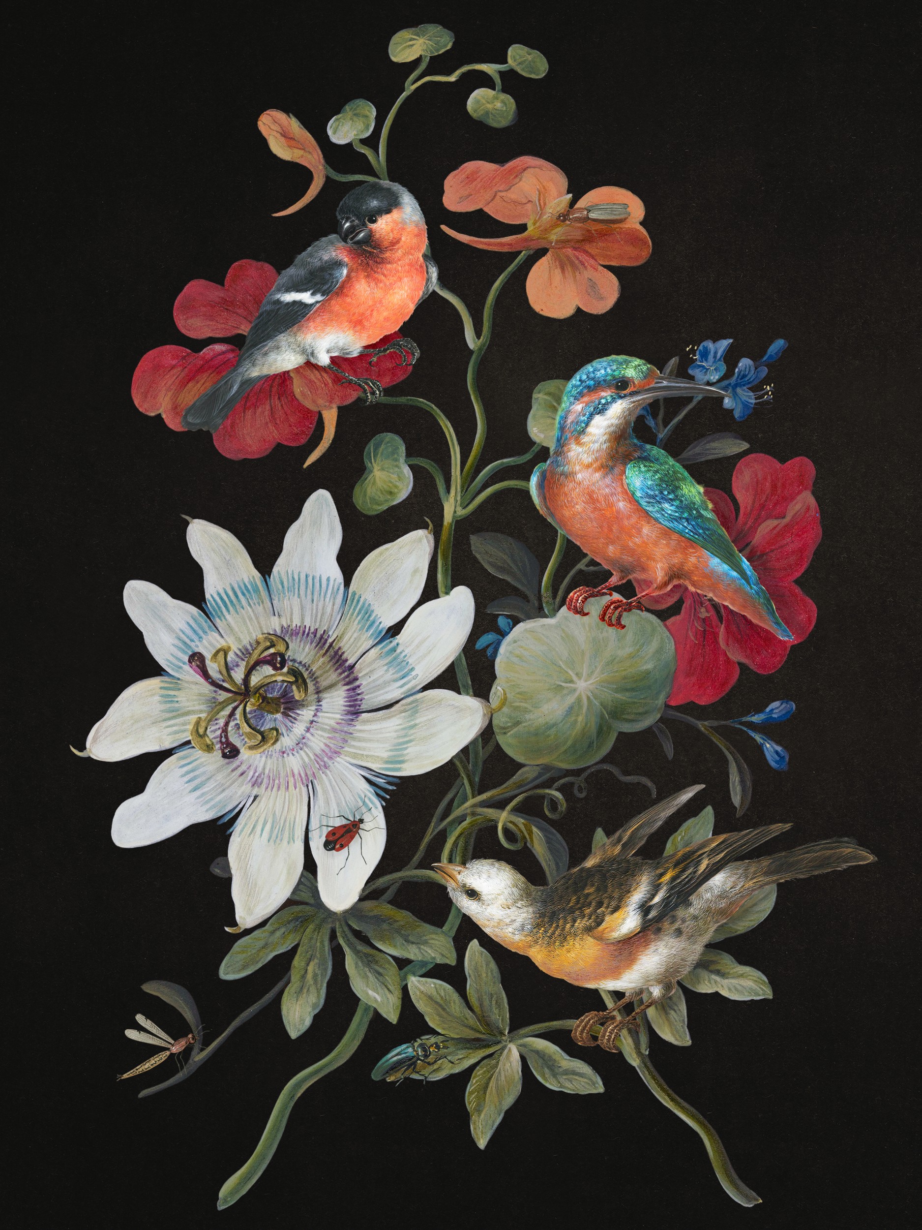 Vibrant Birds and Botanicals by Marja van den Hurk — canvas wall art