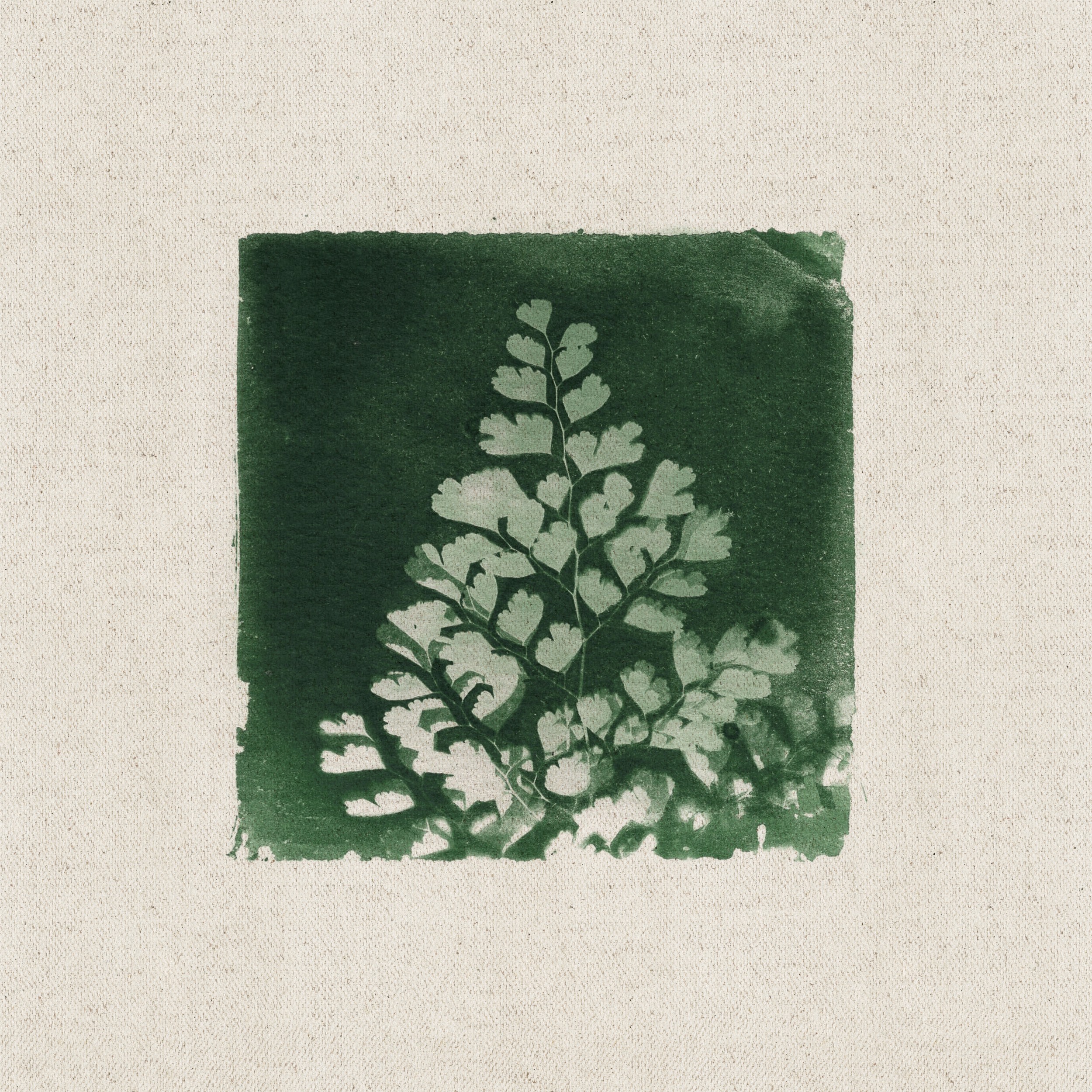 Green Fern Botanical Print by Stephanie Klatt — canvas wall art