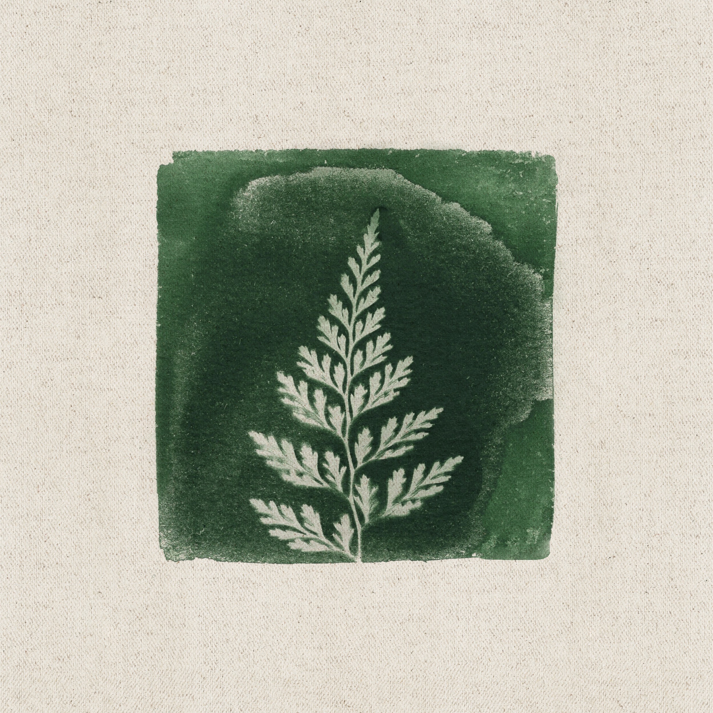Green Fern Botanical Print by Stephanie Klatt — canvas wall art
