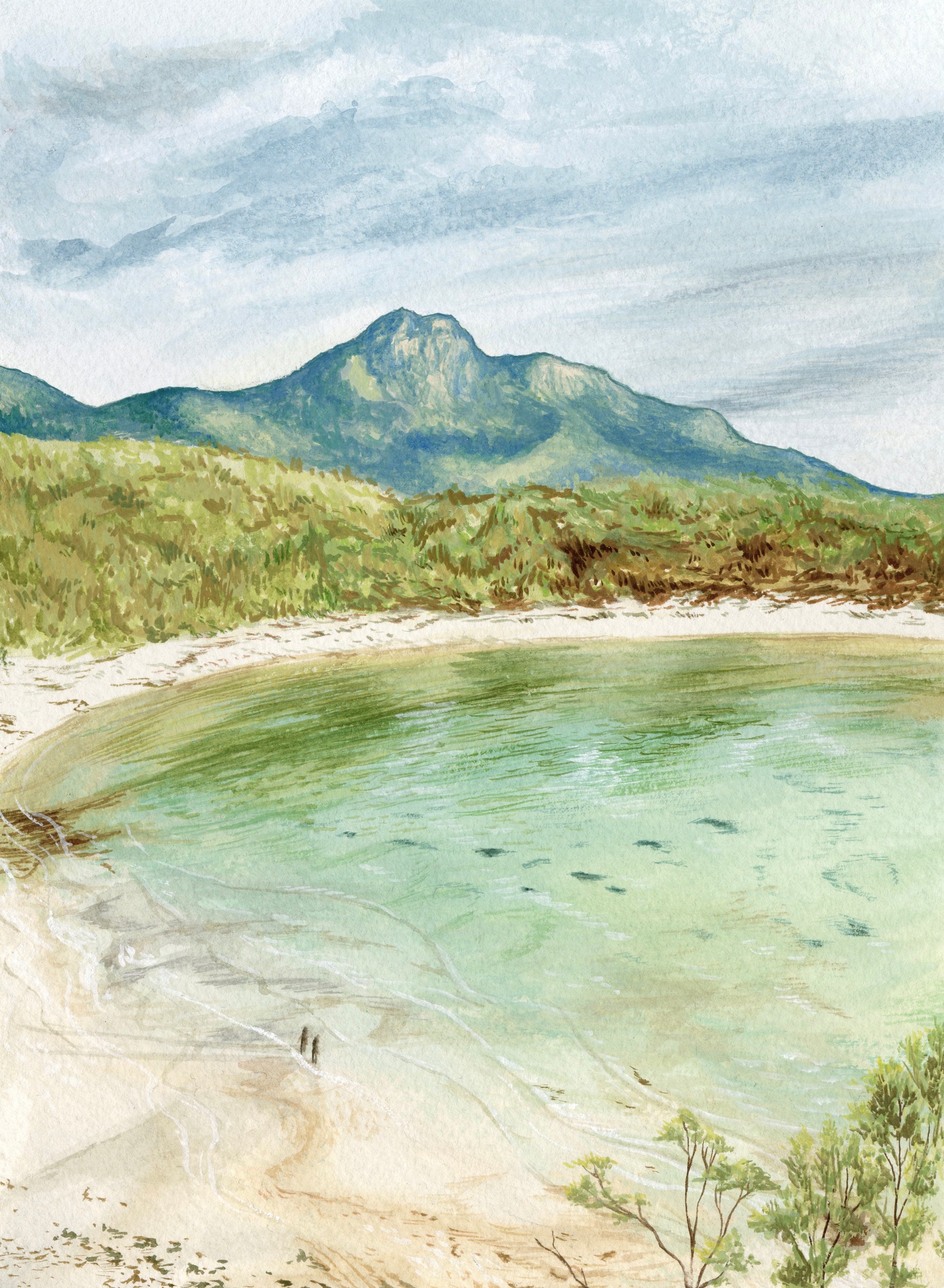 Serene Coastal Mountain Beach Landscape Tasmania by Tara Royle — canvas wall art