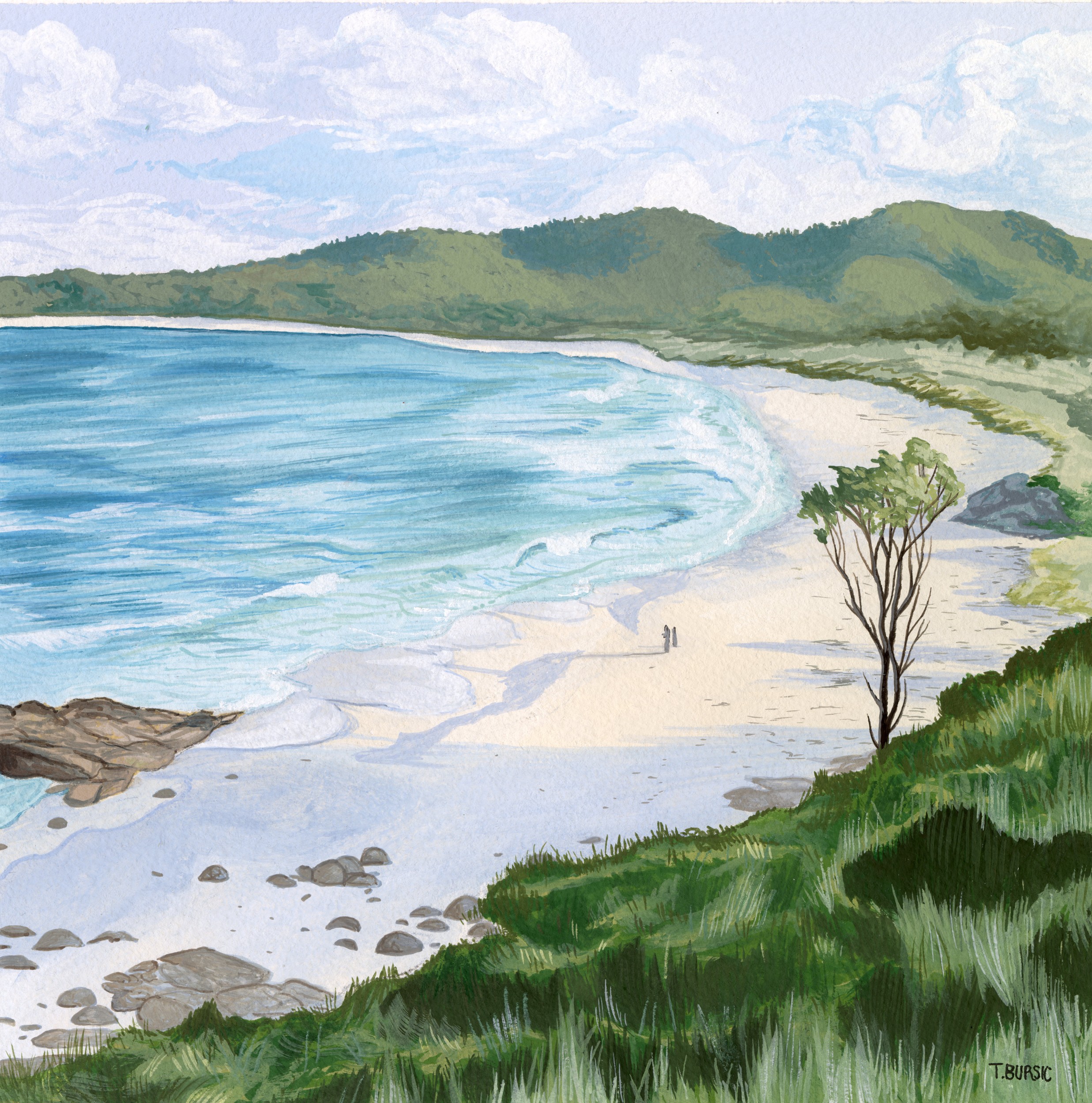 Coastal Mountain Beach Landscape Tasmania by Tara Royle — canvas wall art