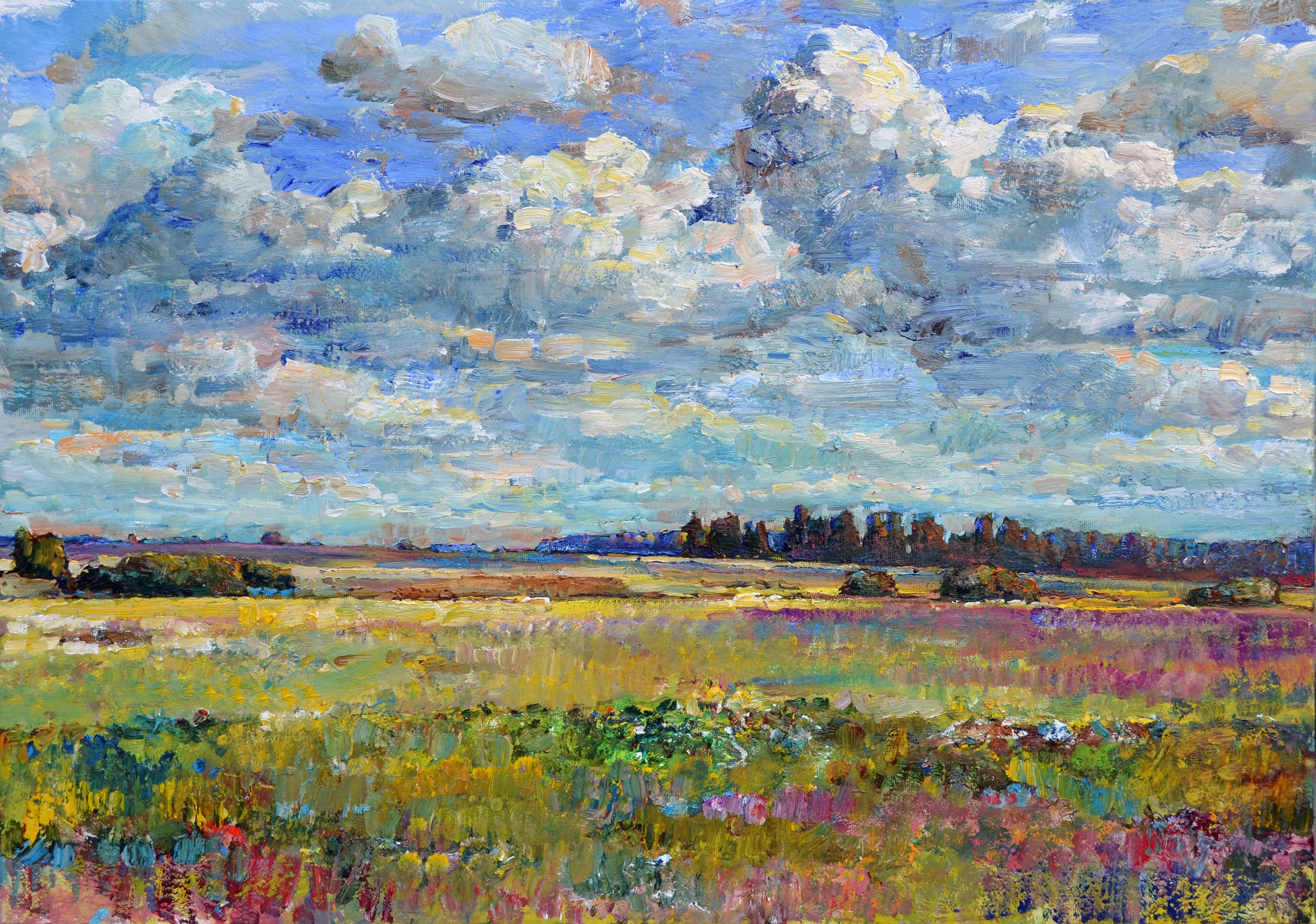 Vibrant Summer Field Landscape by Andrii Kutsachenko — canvas wall art
