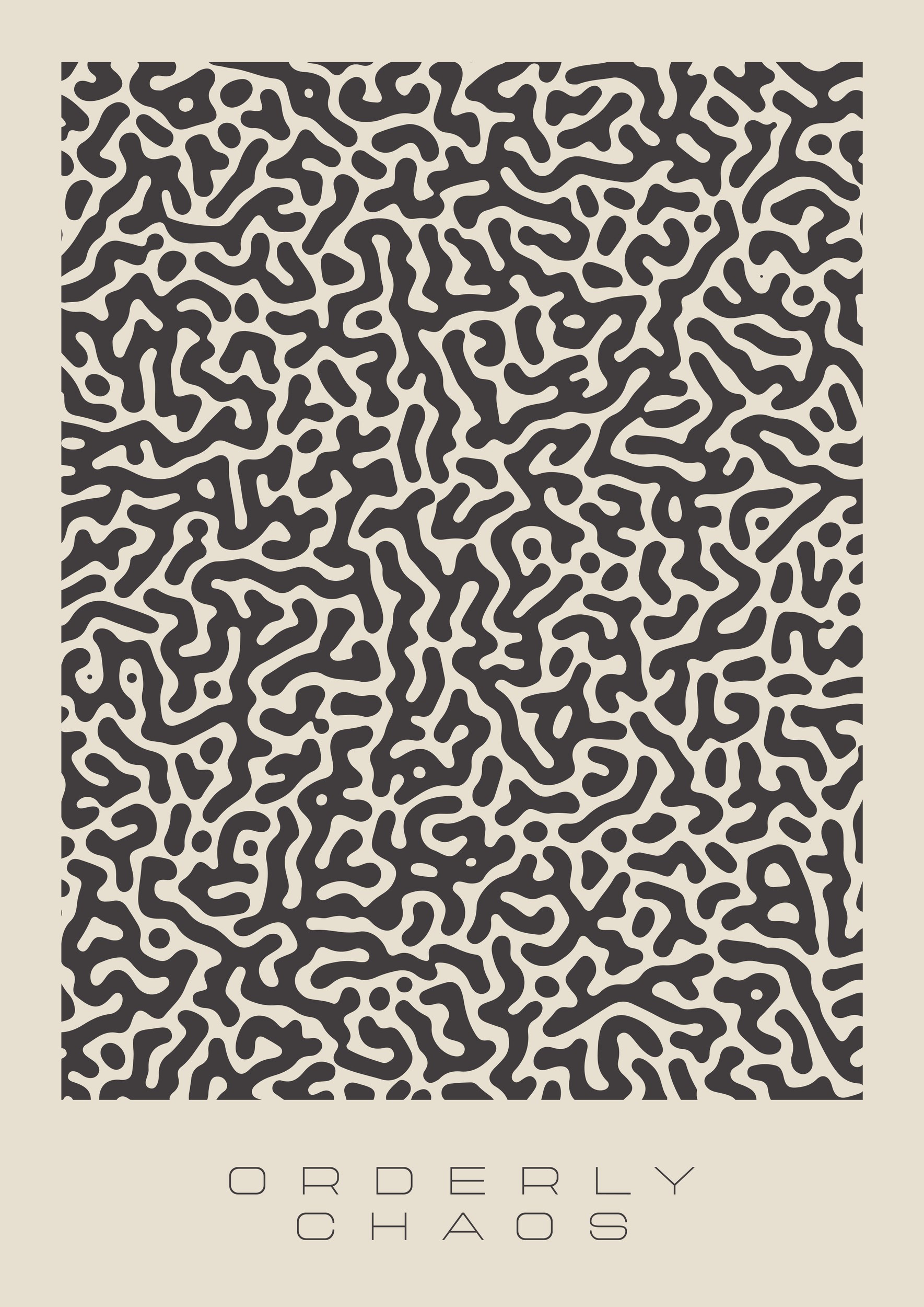 Orderly Chaos by Lisa Solomoniuk — canvas wall art