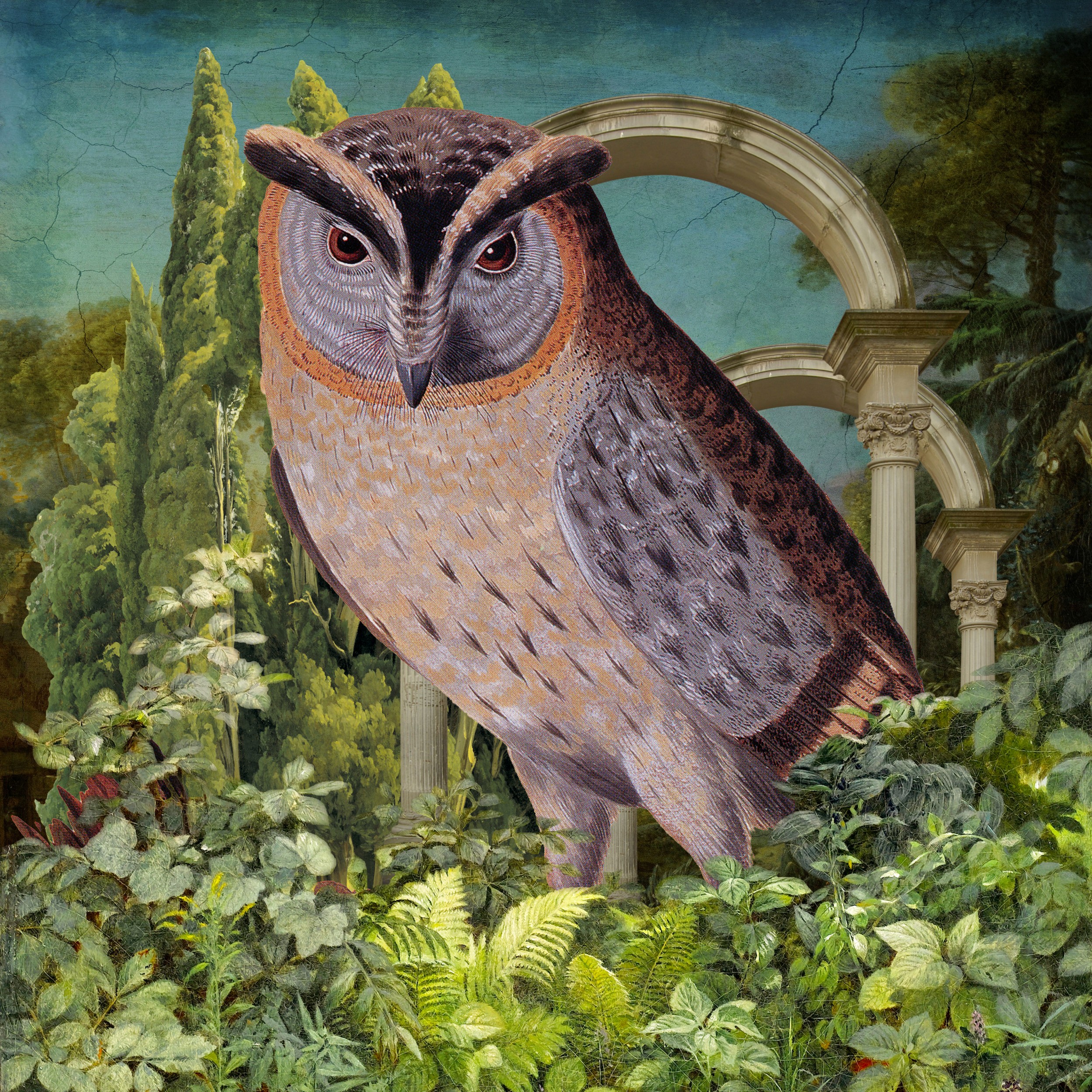 Owl in Ancient Garden by Marja van den Hurk — canvas wall art