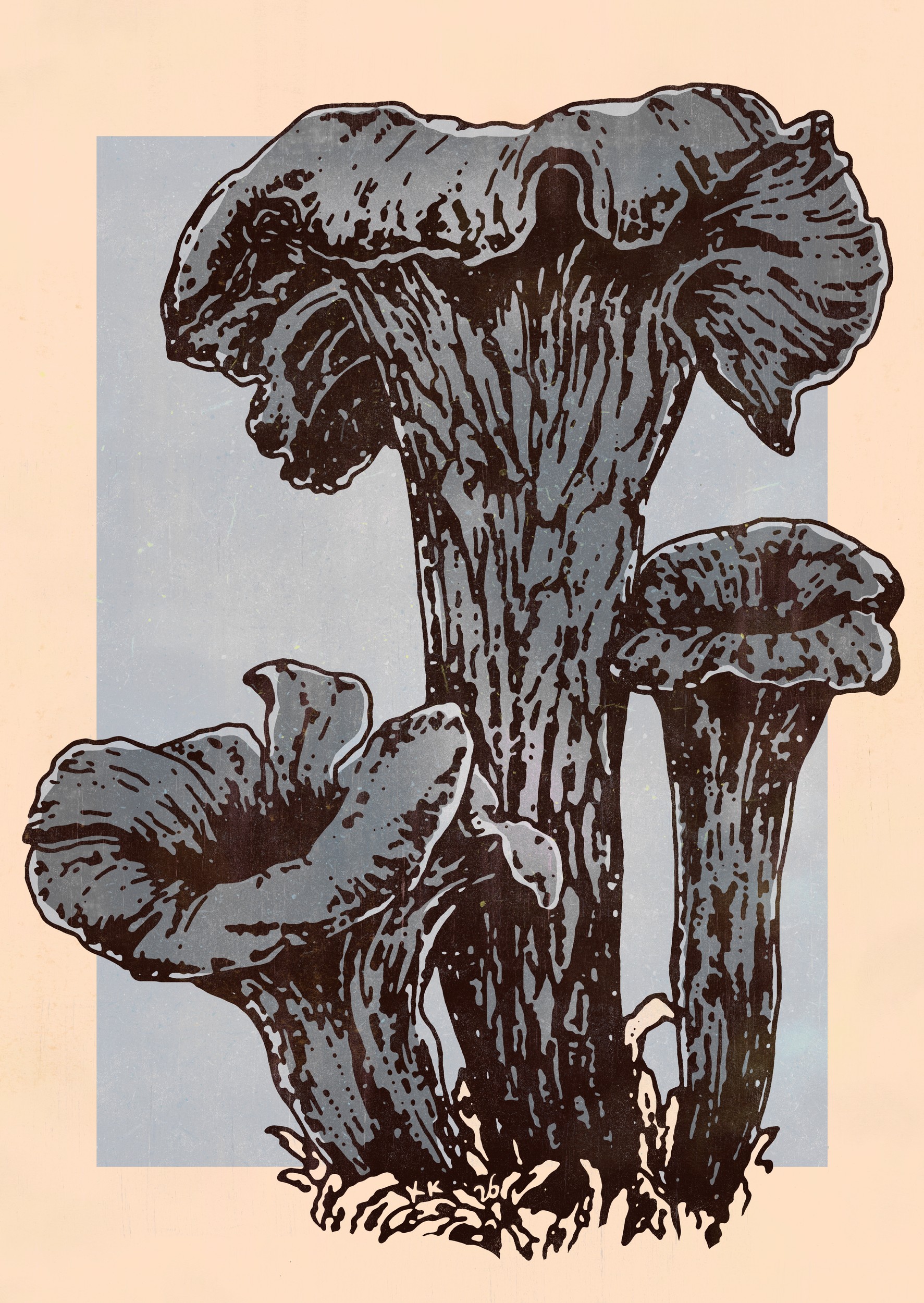 Black Trumpet Fungi by Katariina Kosunen — canvas wall art