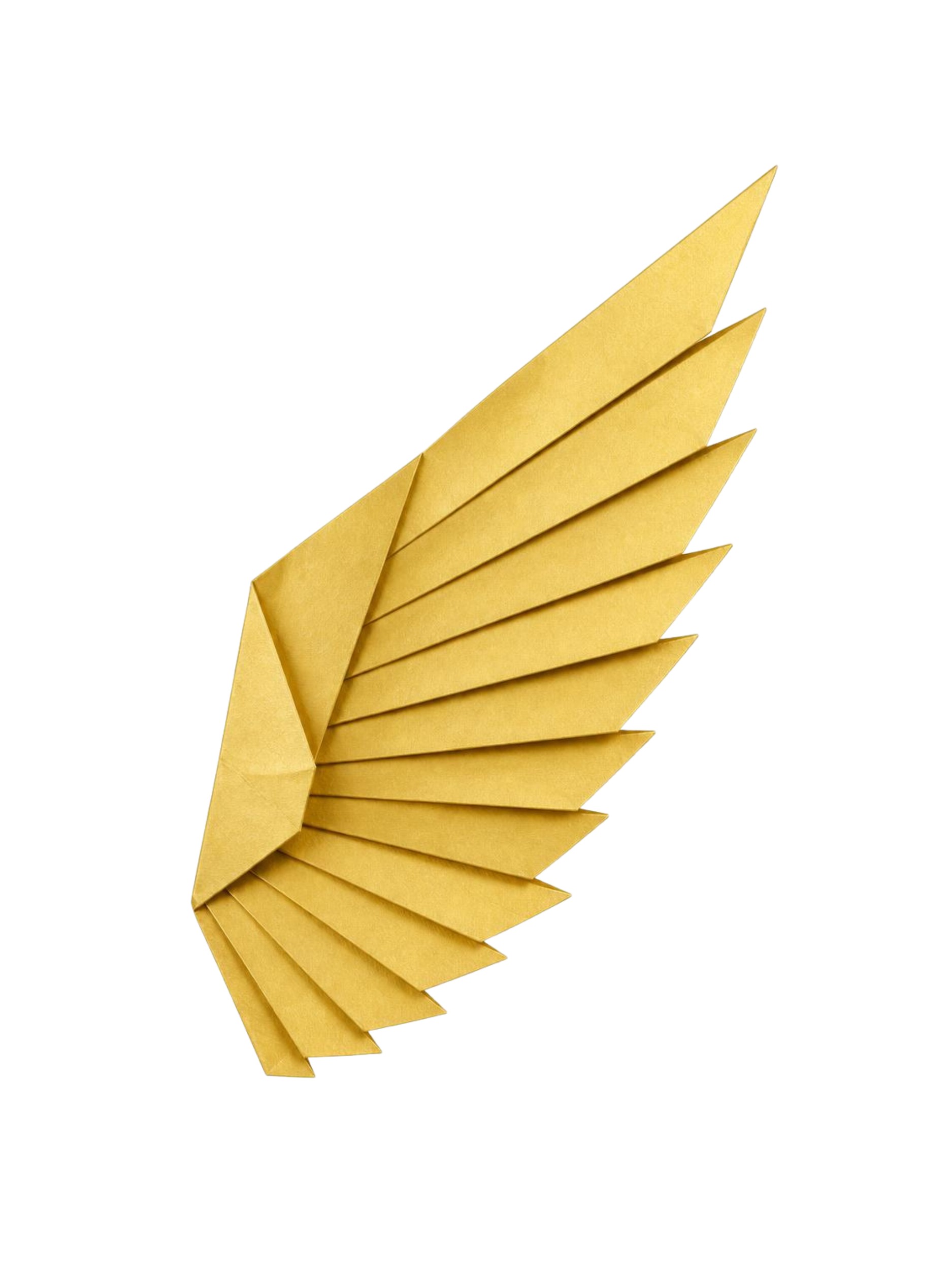 Golden Origami Wing by Ohkimiko — canvas wall art