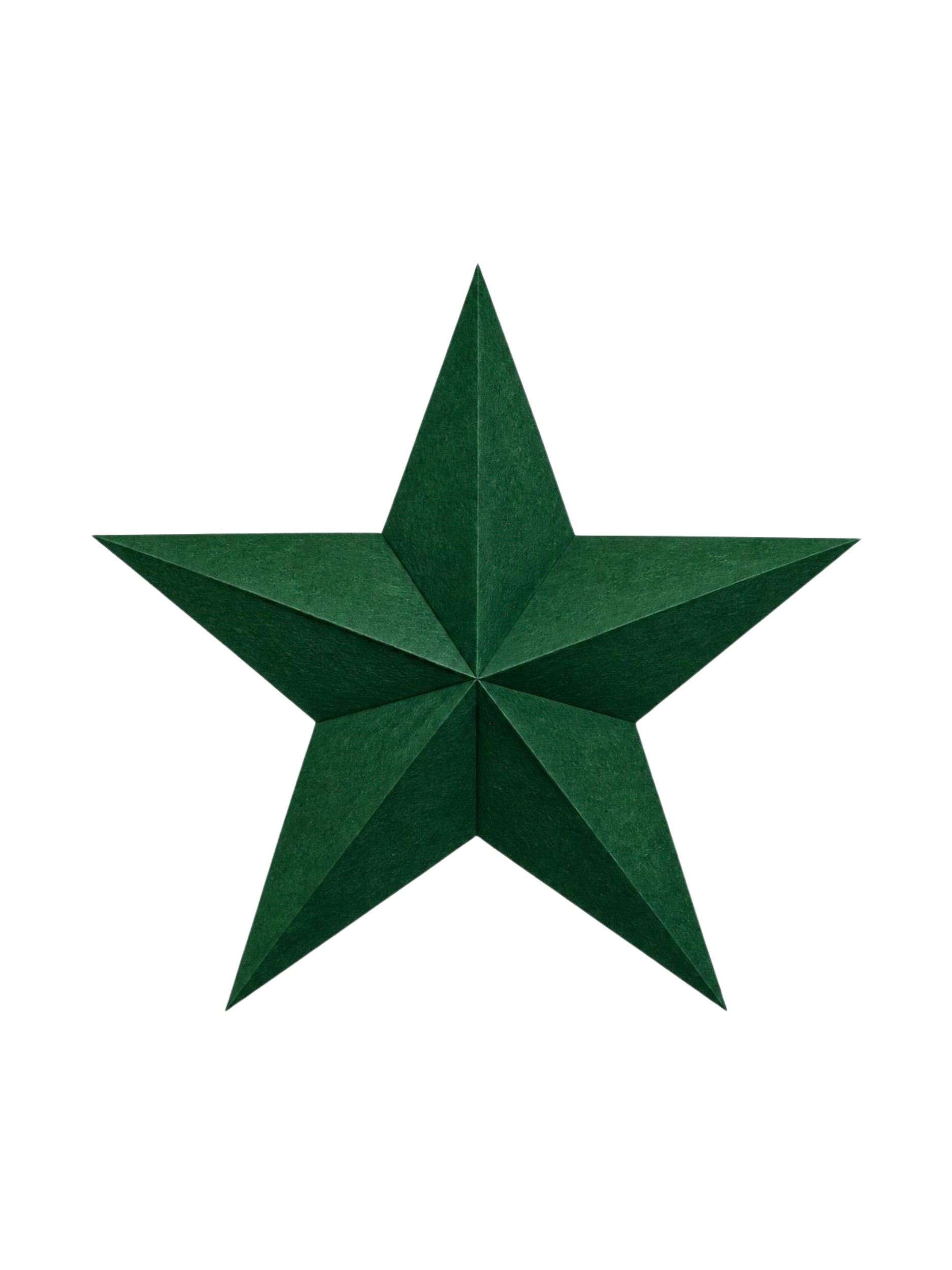 Green Geometric Star by Ohkimiko — canvas wall art