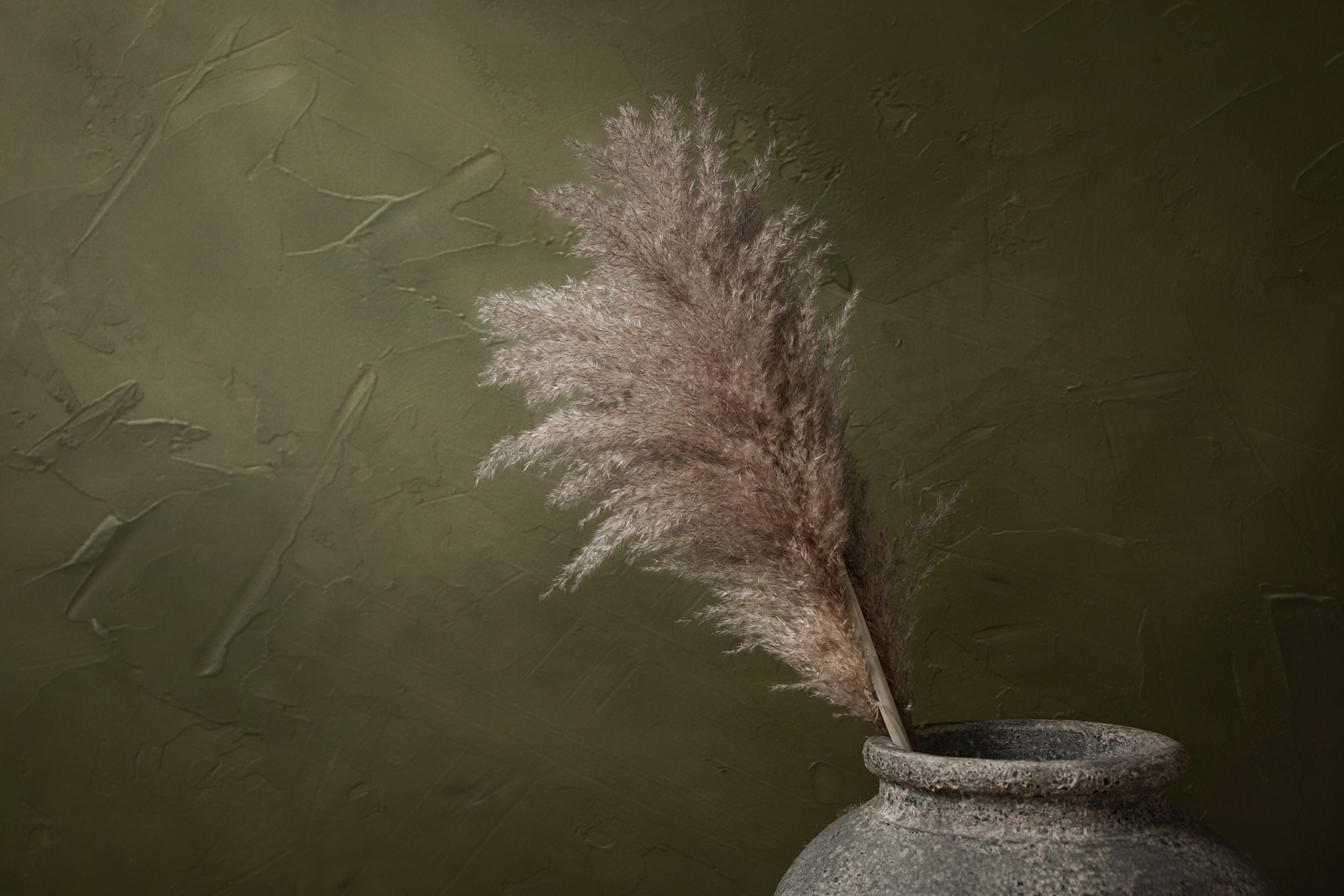 Natural Pampas Grass Vase by Mayra Pama — canvas wall art
