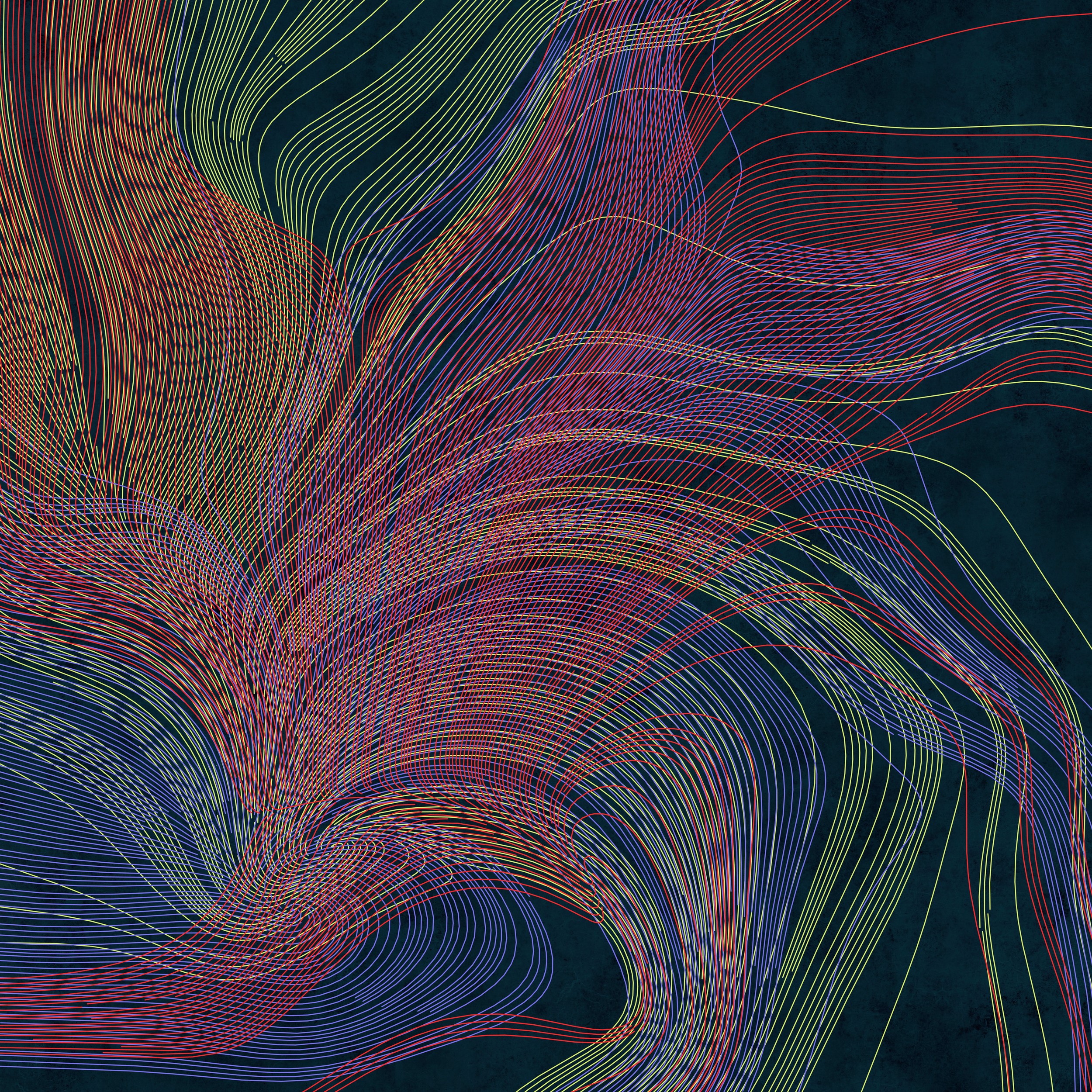 Colorful Flowing Lines by Angelo Cerantola — canvas wall art