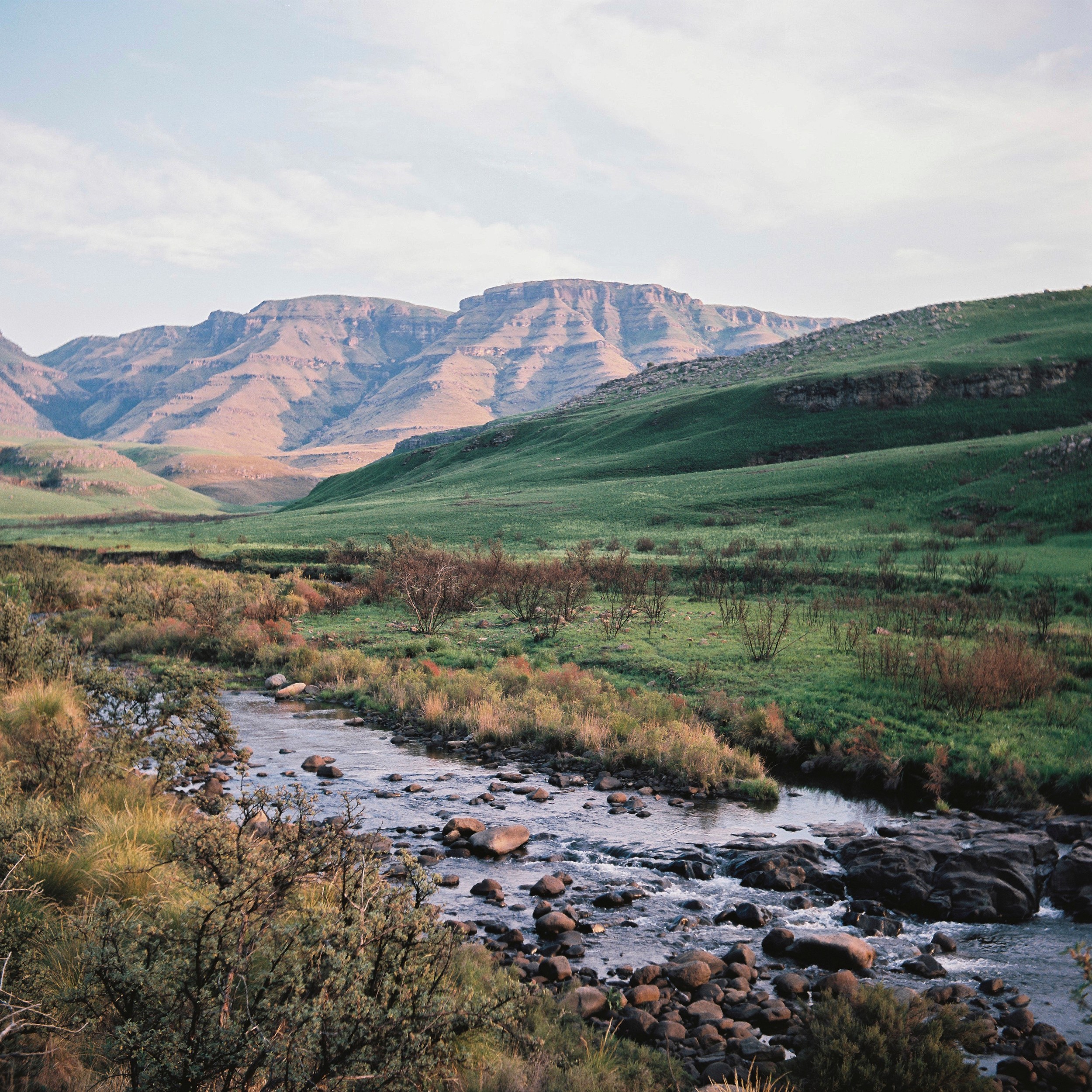 Serene Mountain River by Jesse Greaves — canvas wall art