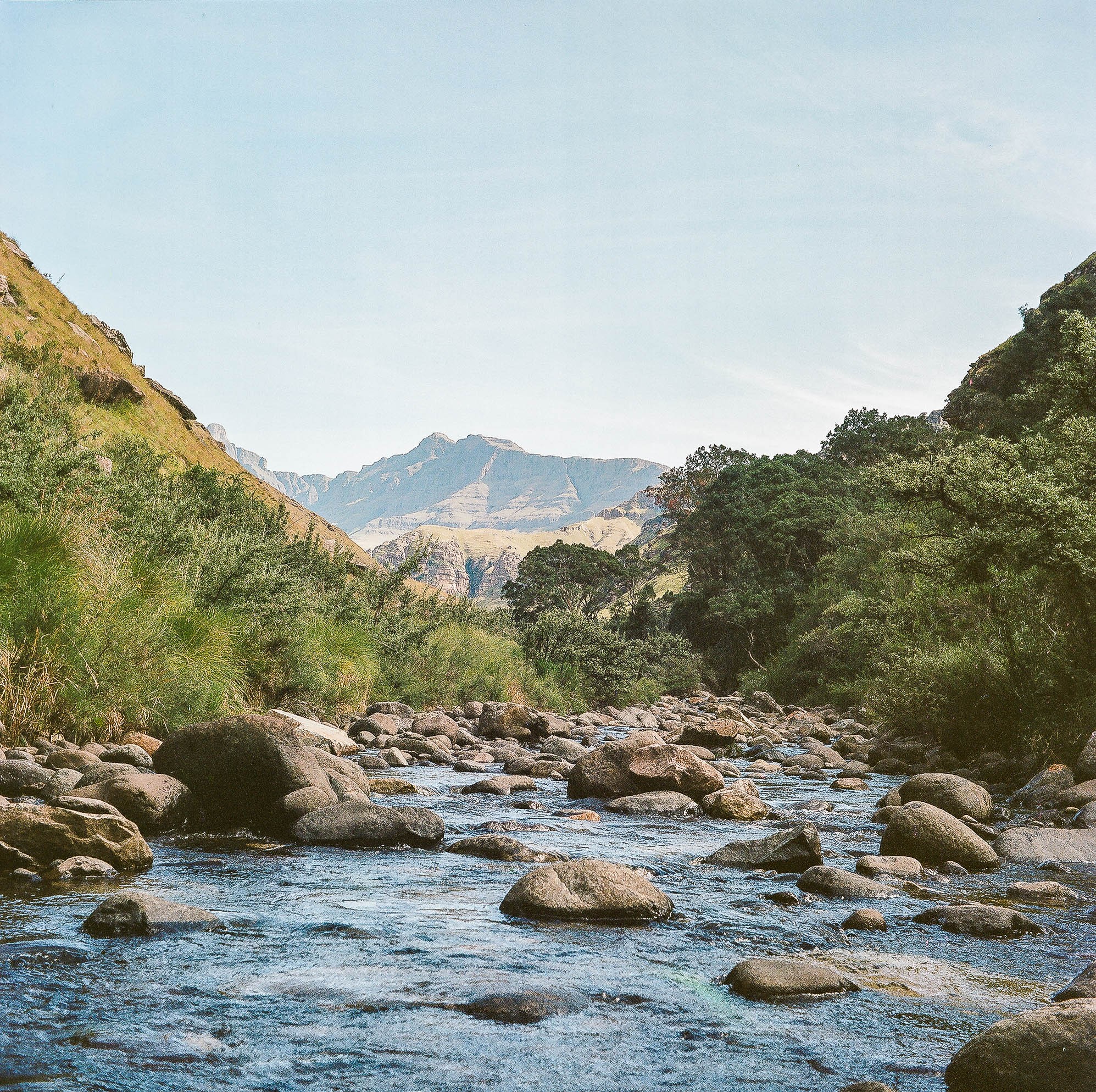 Peaceful Mountain Stream by Jesse Greaves — canvas wall art