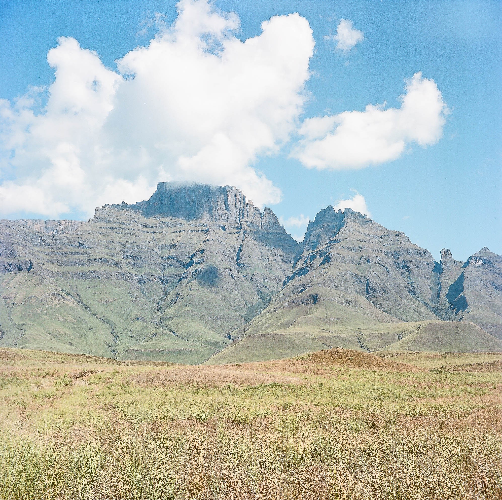 Majestic Mountain Landscape by Jesse Greaves — canvas wall art