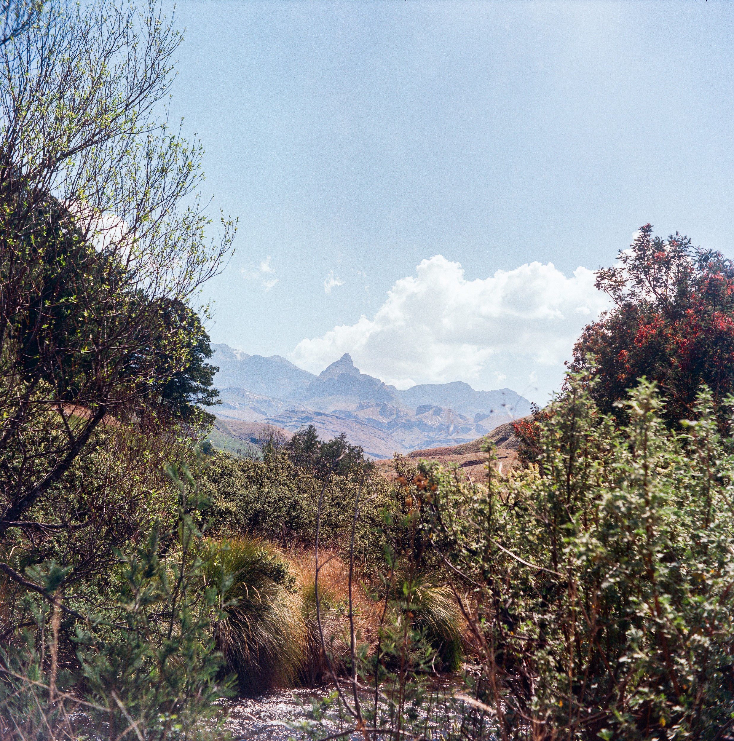 Cloudy Mountain Peaks by Jesse Greaves — canvas wall art