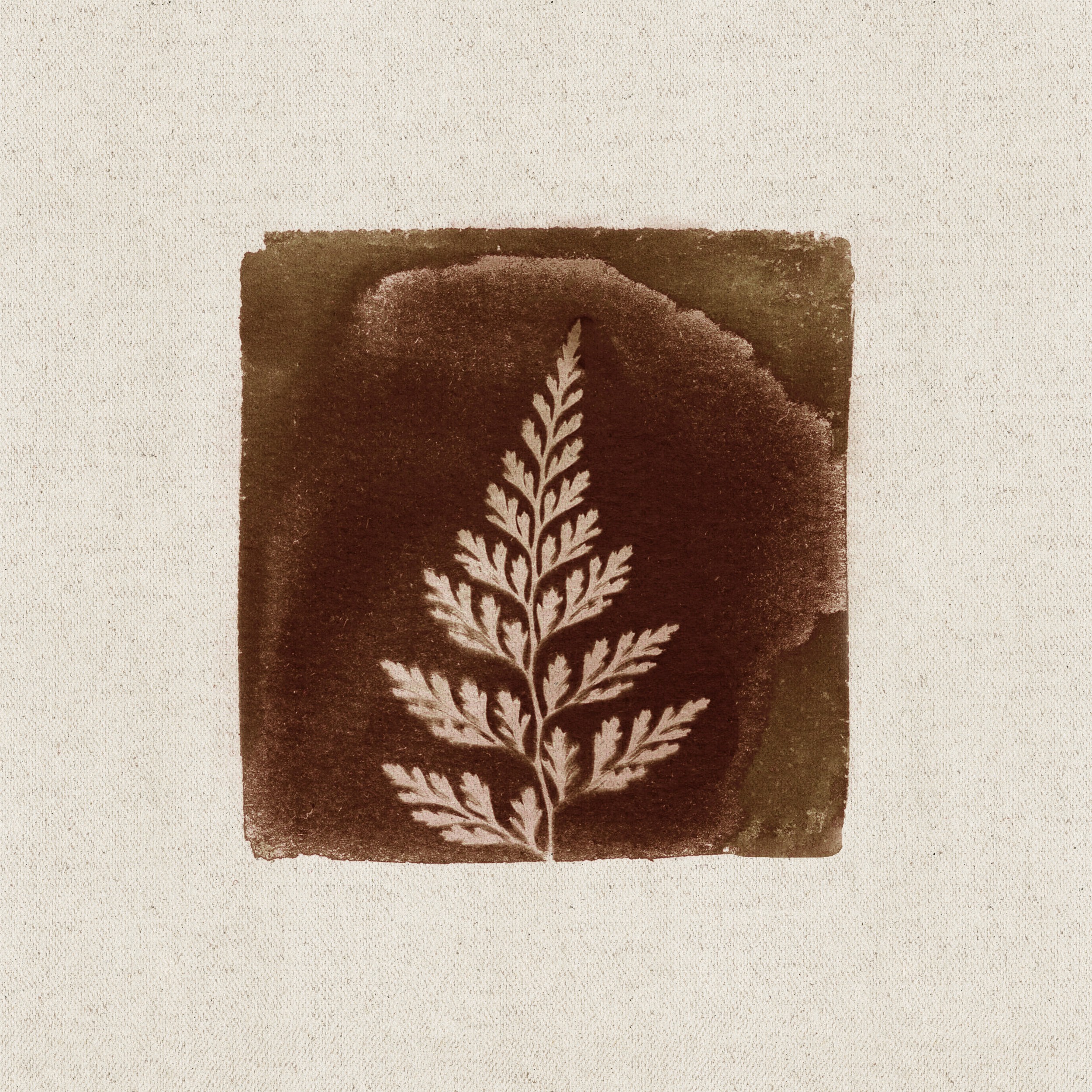 Vintage Botanical Fern by Stephanie Klatt — canvas wall art