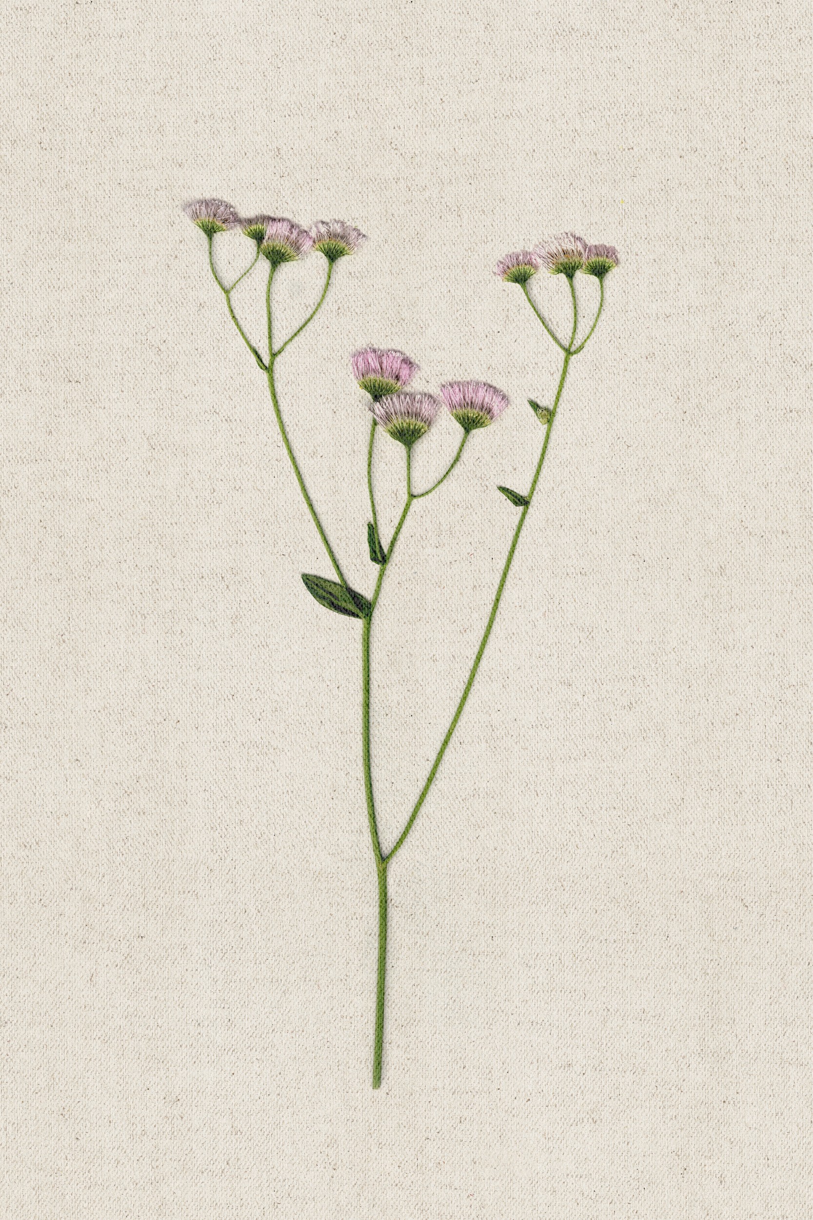 Delicate Pink Wildflowers by Stephanie Klatt — canvas wall art