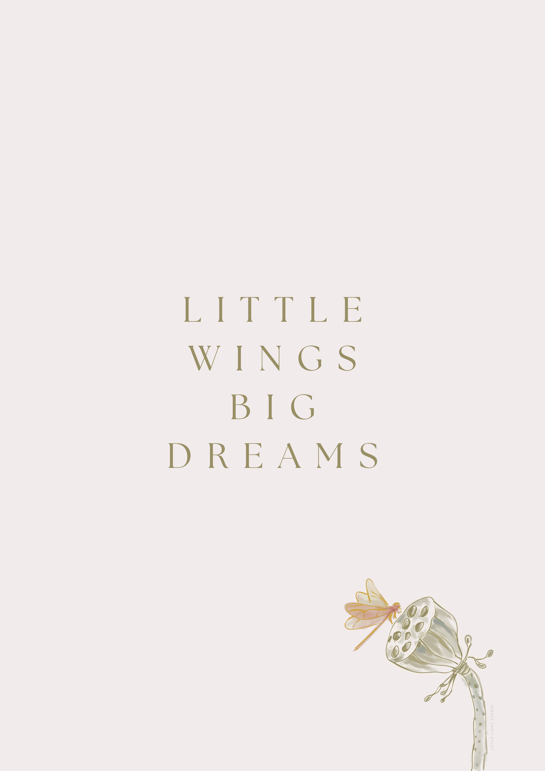 Little Wings Big Dreams by Little Light Studio — canvas wall art