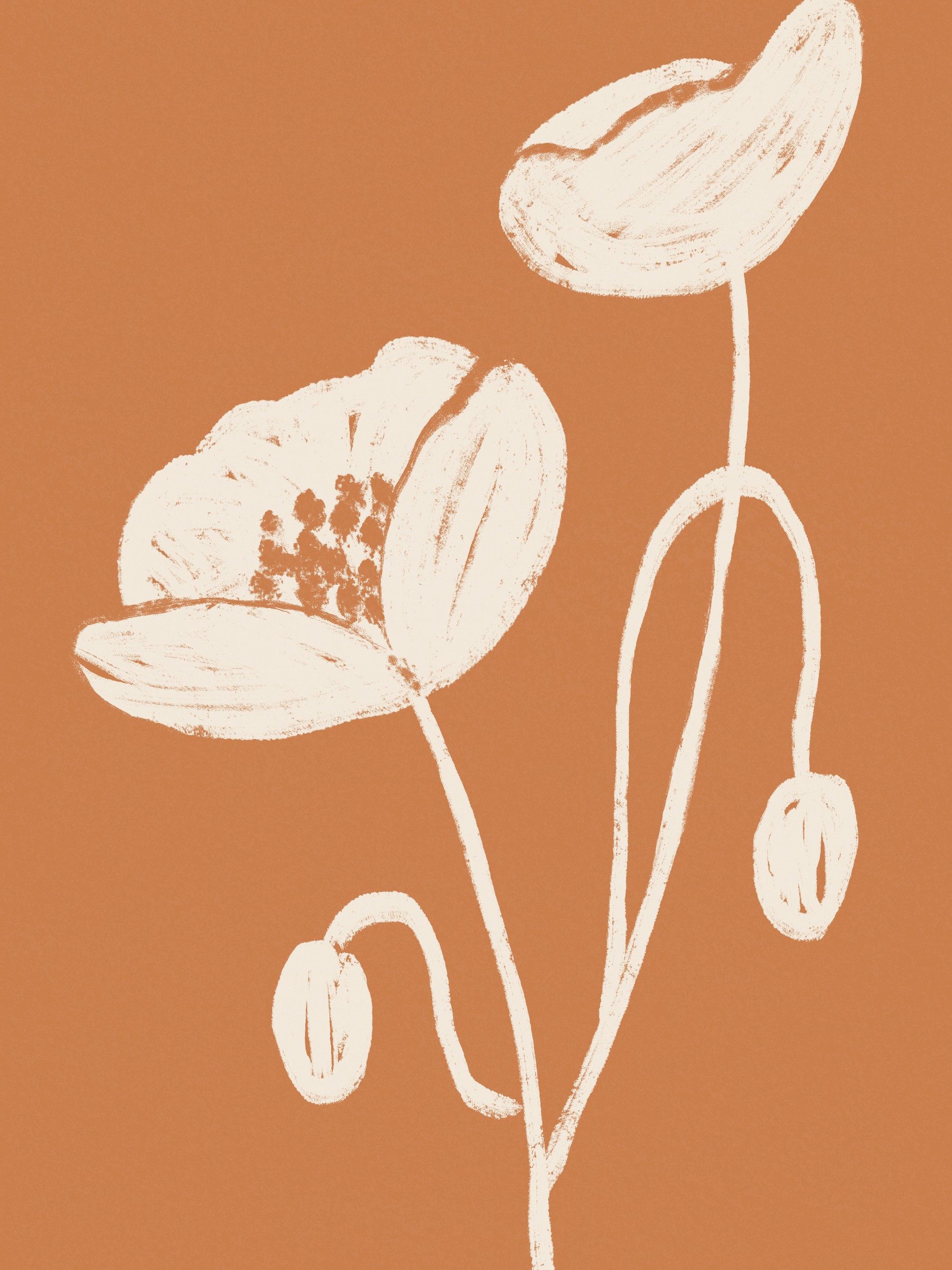 Terracotta Poppies by Krisztina Jung — canvas wall art