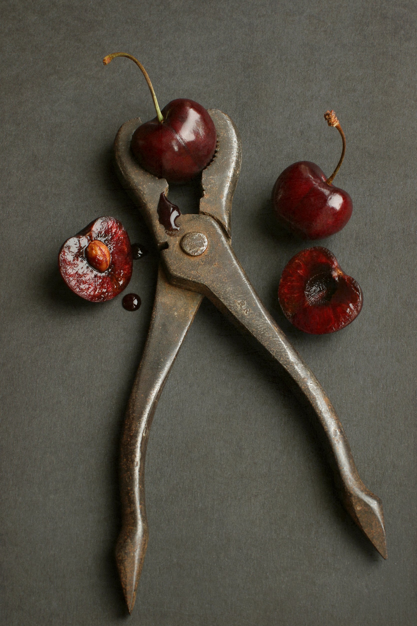 Dark Cherry Pliers by Alyson Fennell — canvas wall art