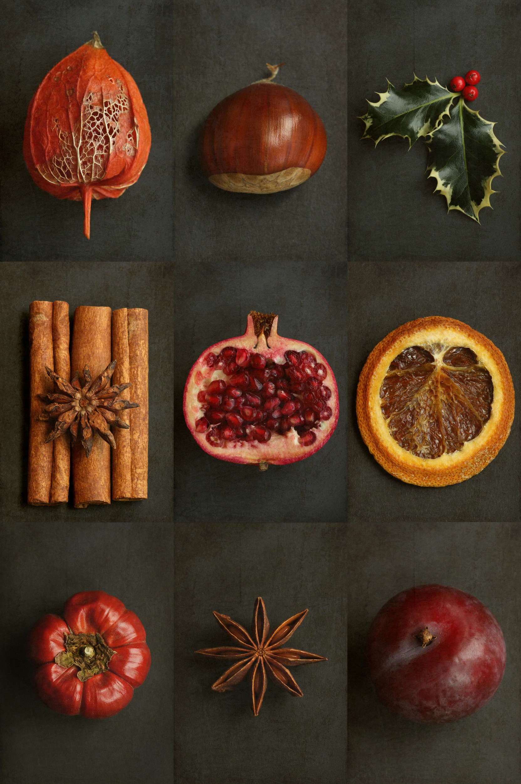 Seasonal Spice Collection by Alyson Fennell — canvas wall art