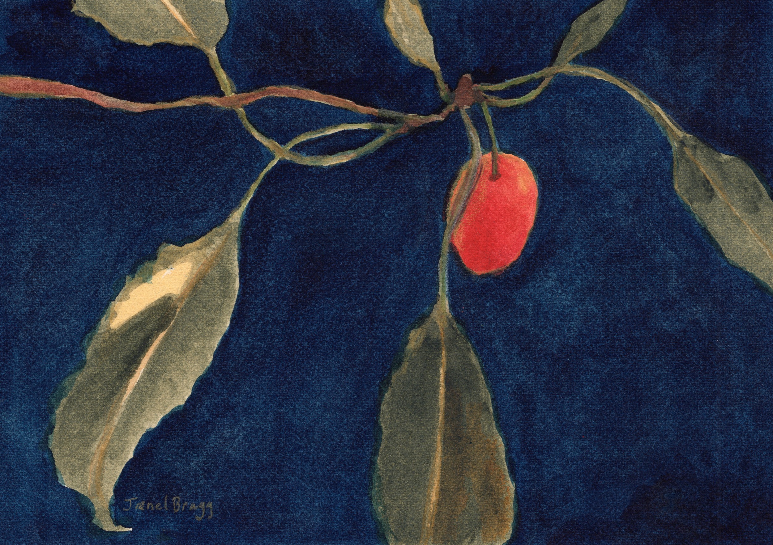 Red Fruit on Branch by Janel Bragg — canvas wall art
