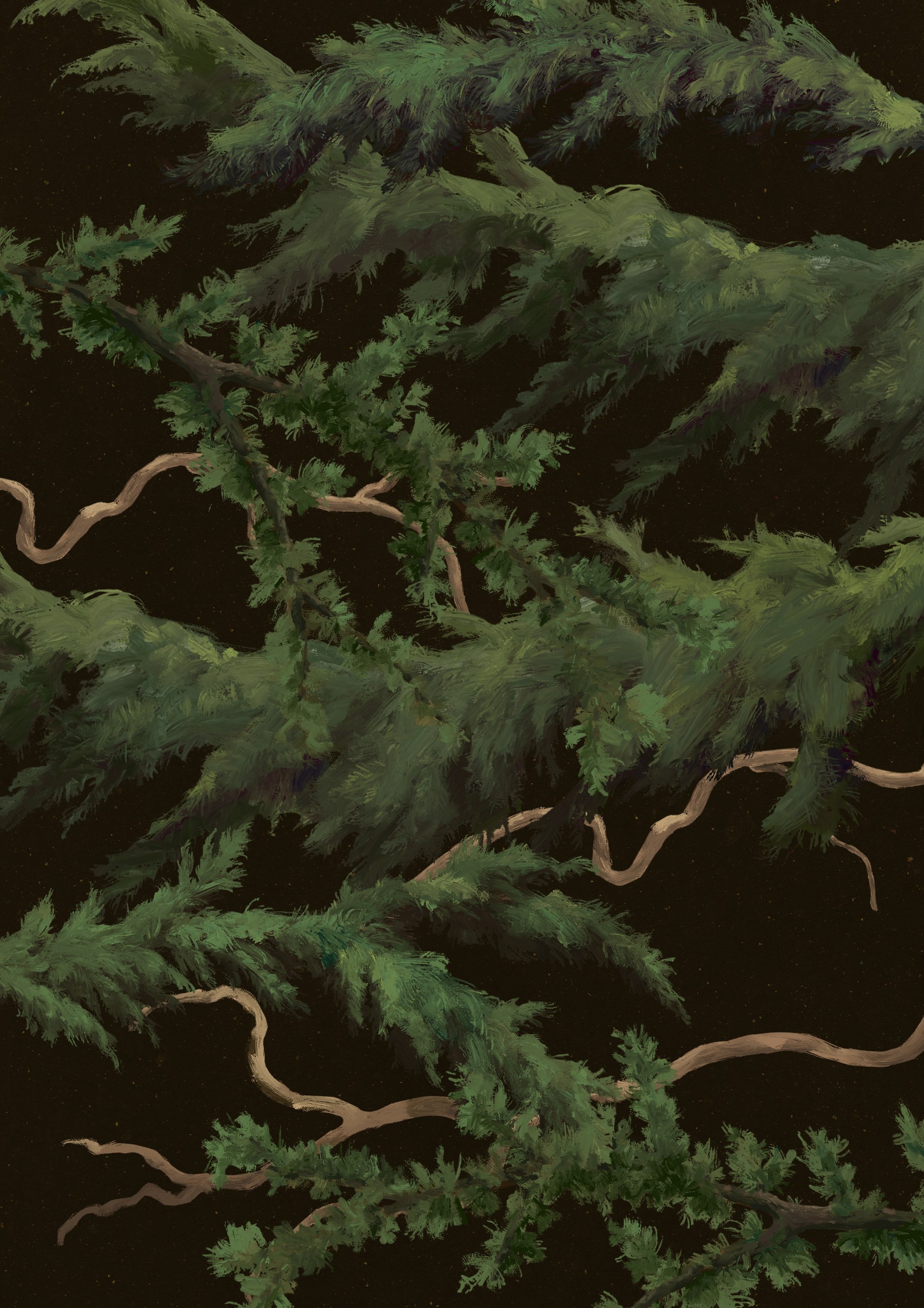 Evergreen Night Branches by NKTN — canvas wall art