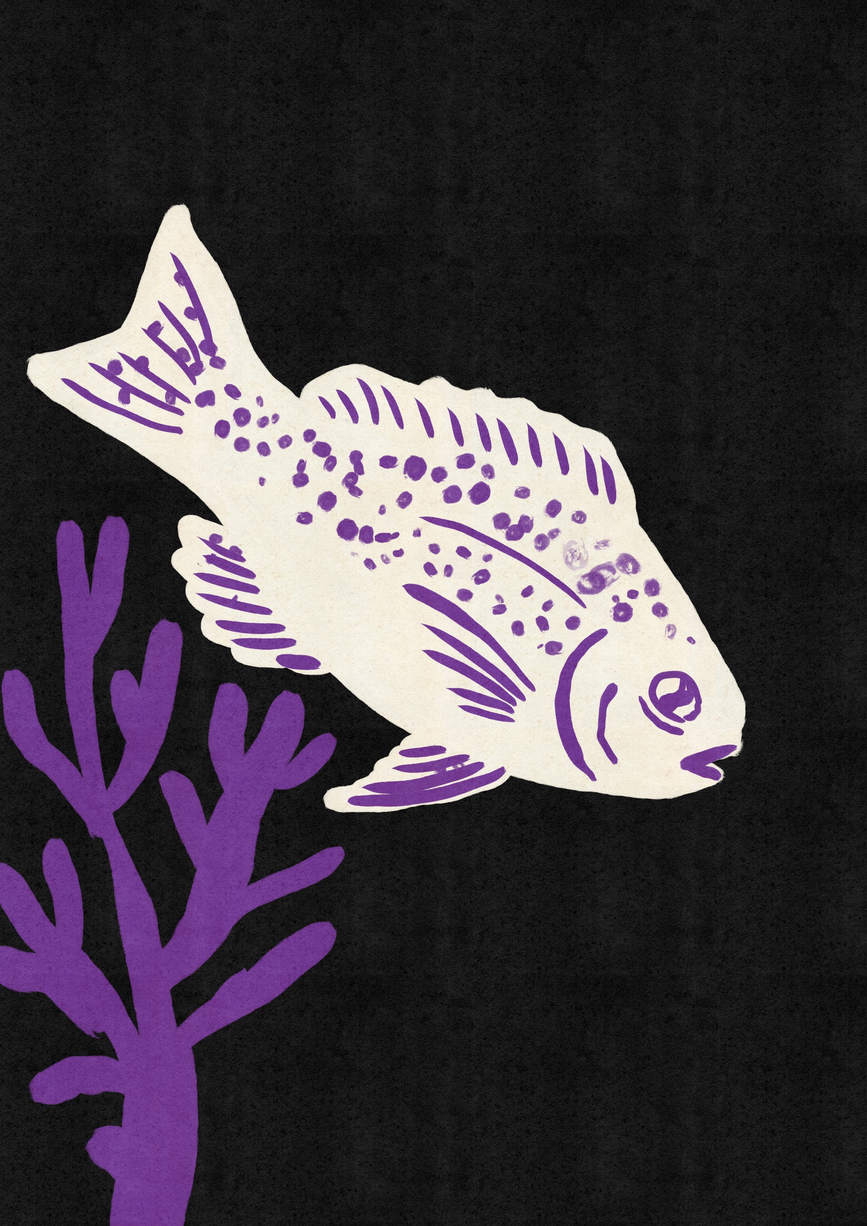 White Fish Purple Coral by Nicholas — canvas wall art