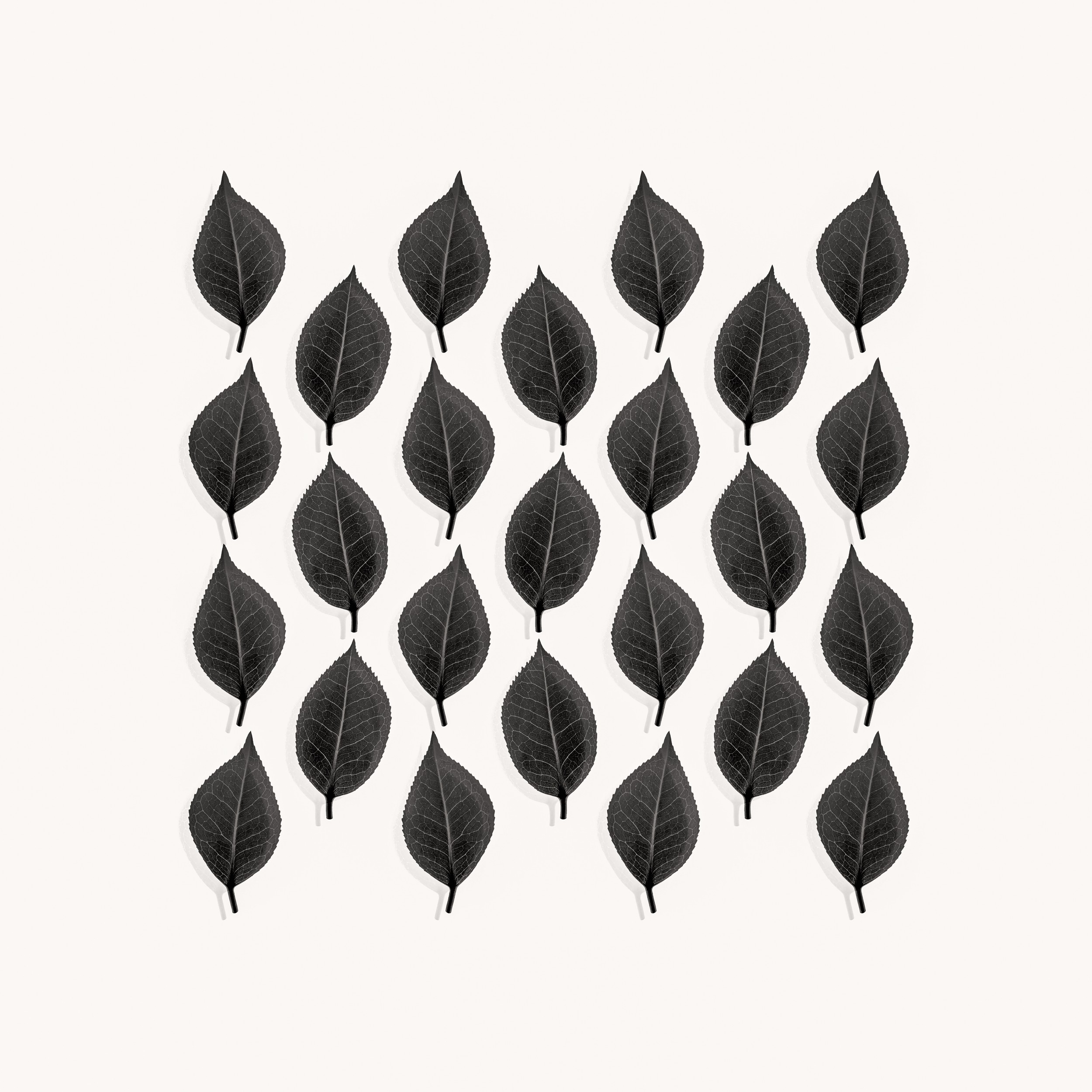 Dark Leaf Pattern by Alyson Fennell — canvas wall art