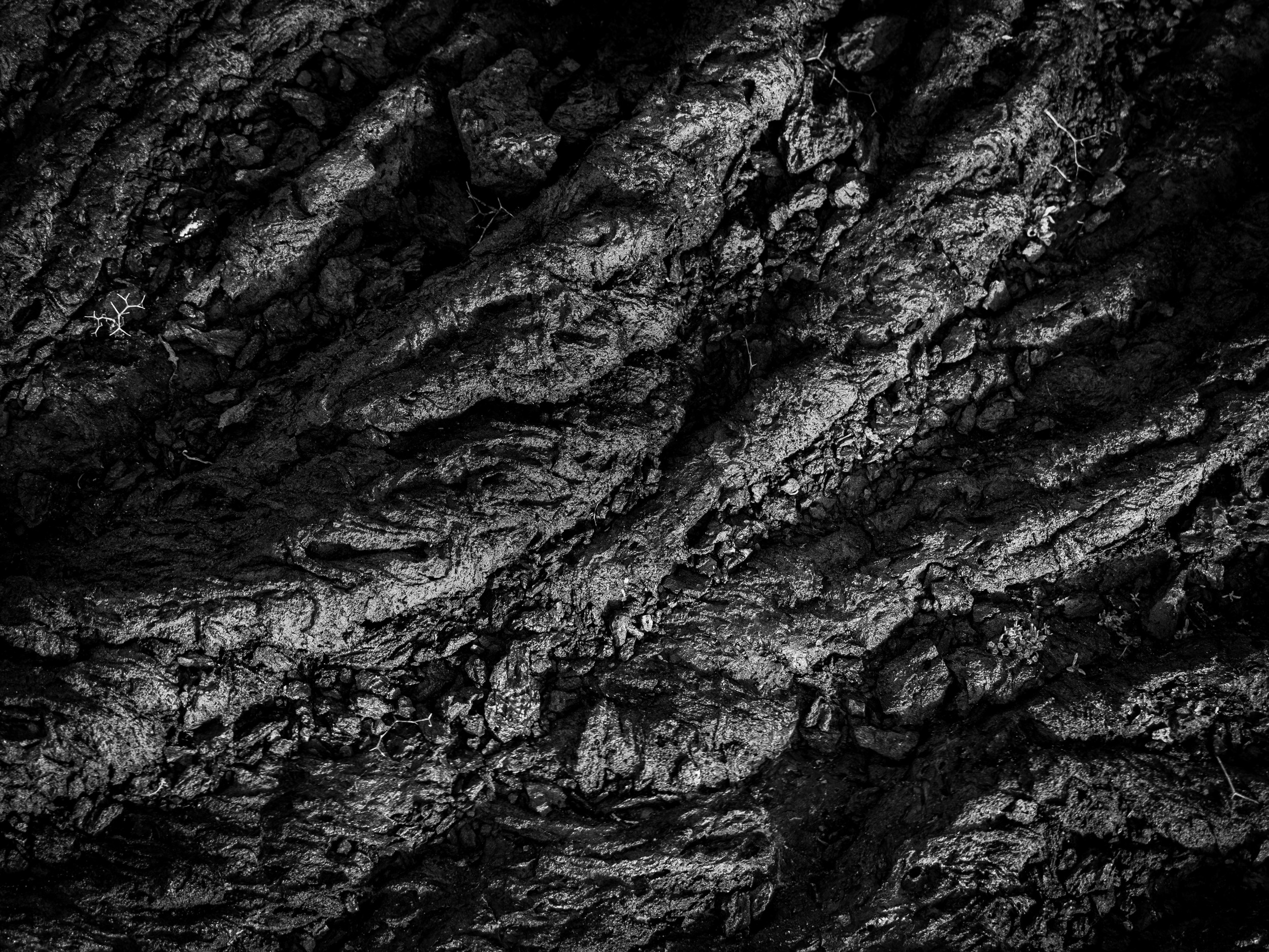 Dark Tree Bark Texture by Michael Bangiev — canvas wall art