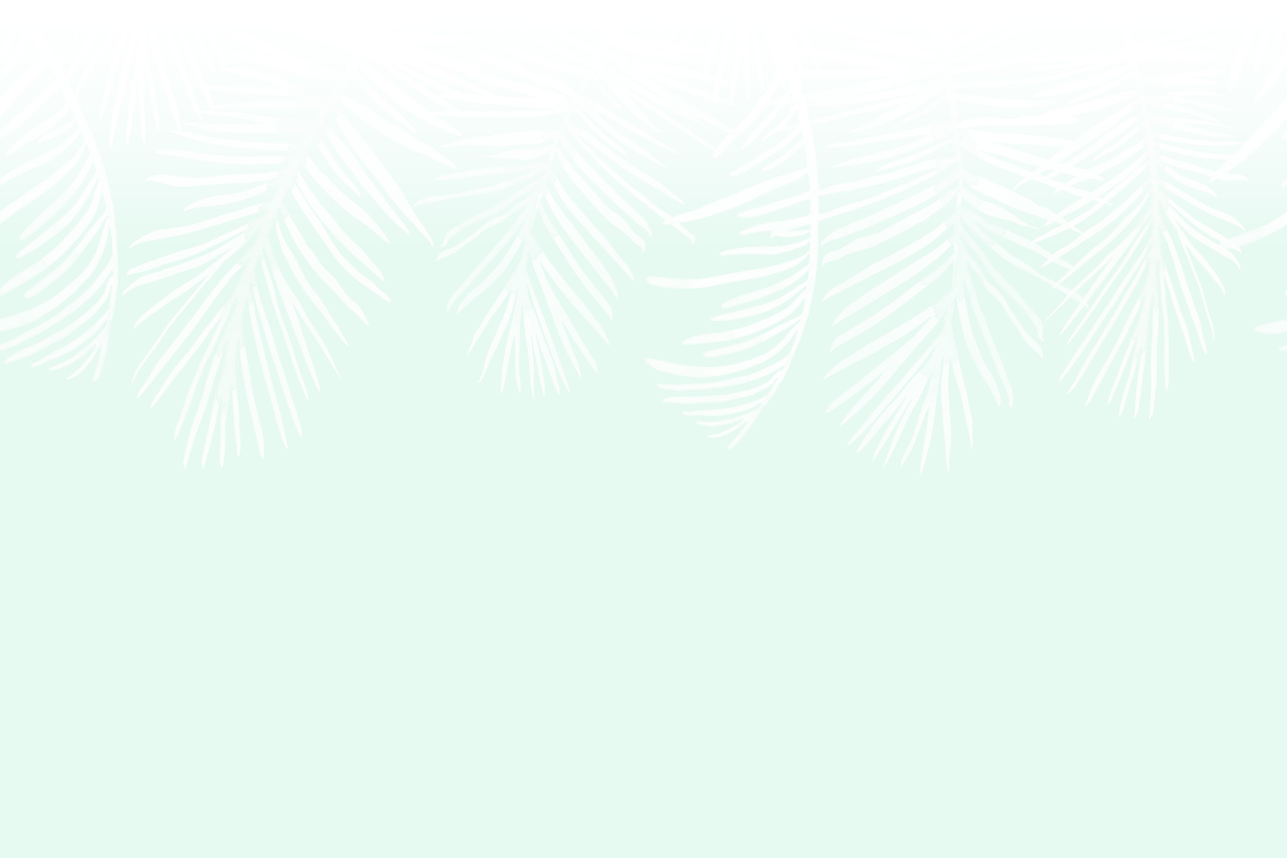 Mural Palmleaf Curtain Mint Happywall 300x450 150 Dpi by Karen Menzenbach — canvas wall art