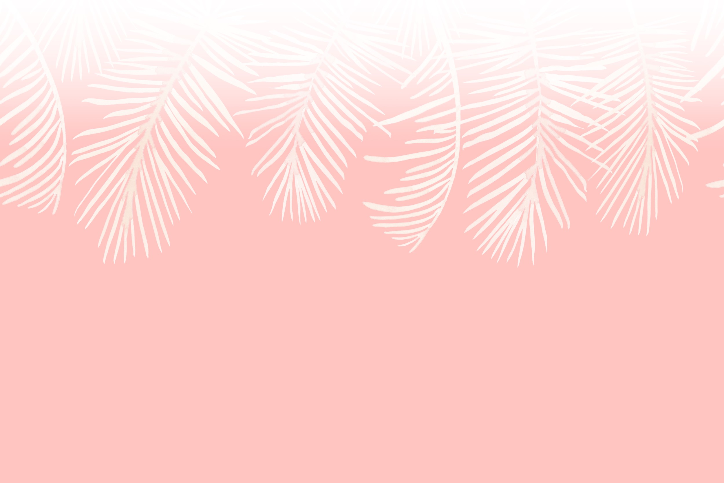 Soft Pink Palm Leaves by Karen Menzenbach — canvas wall art