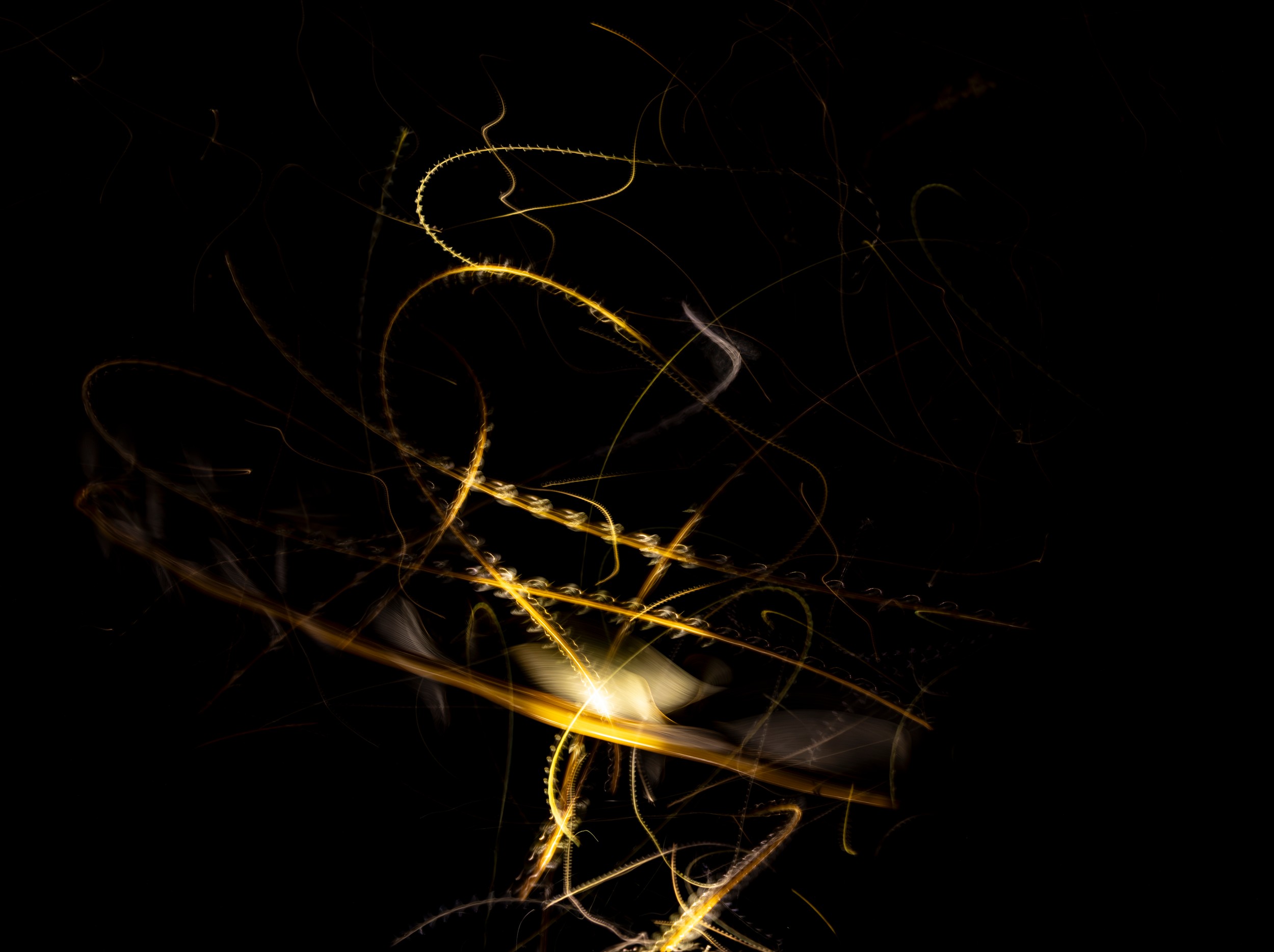 Golden Light Trails by Helgardt Pretorius — canvas wall art