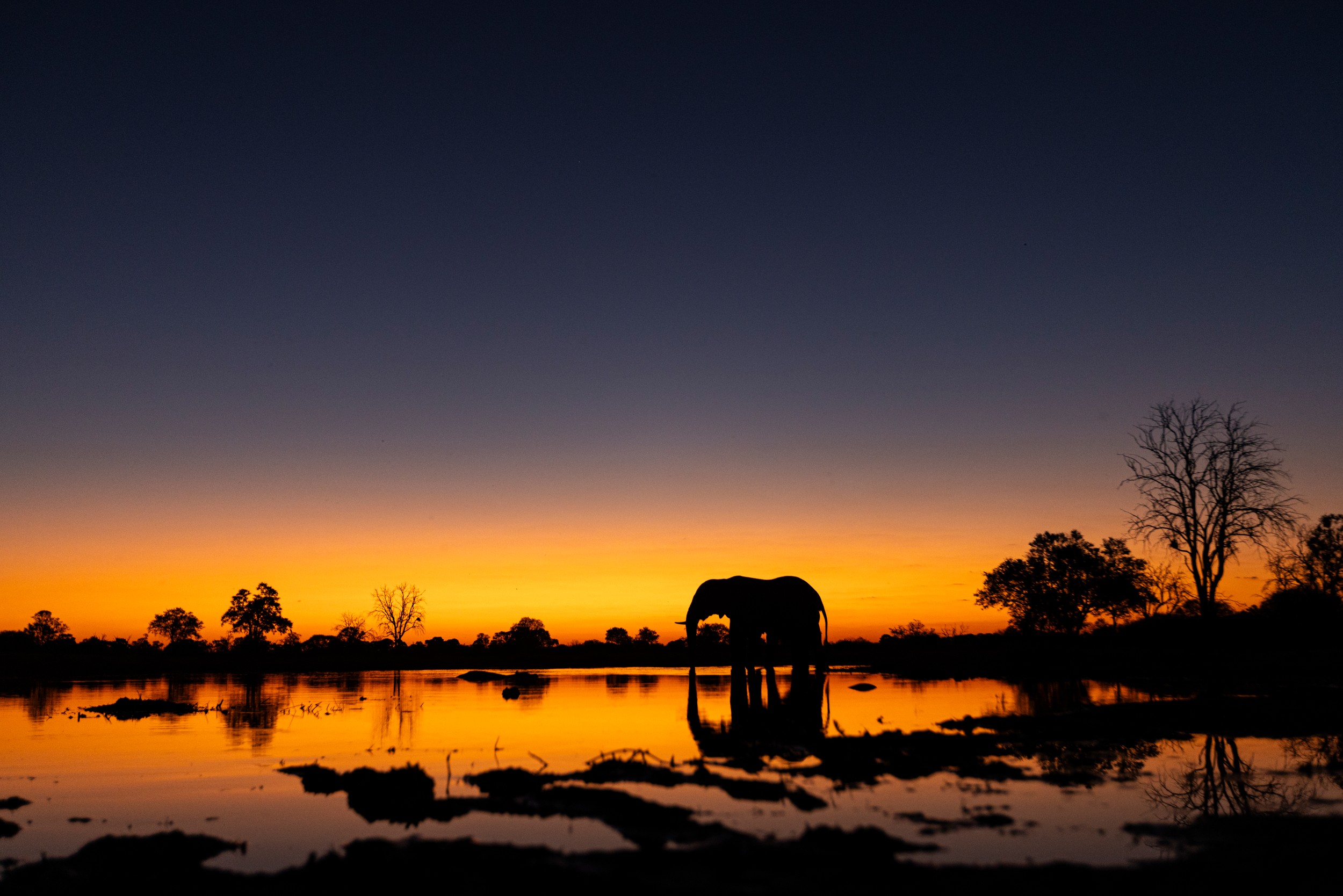 African Sunset Silhouette by Helgardt Pretorius — canvas wall art